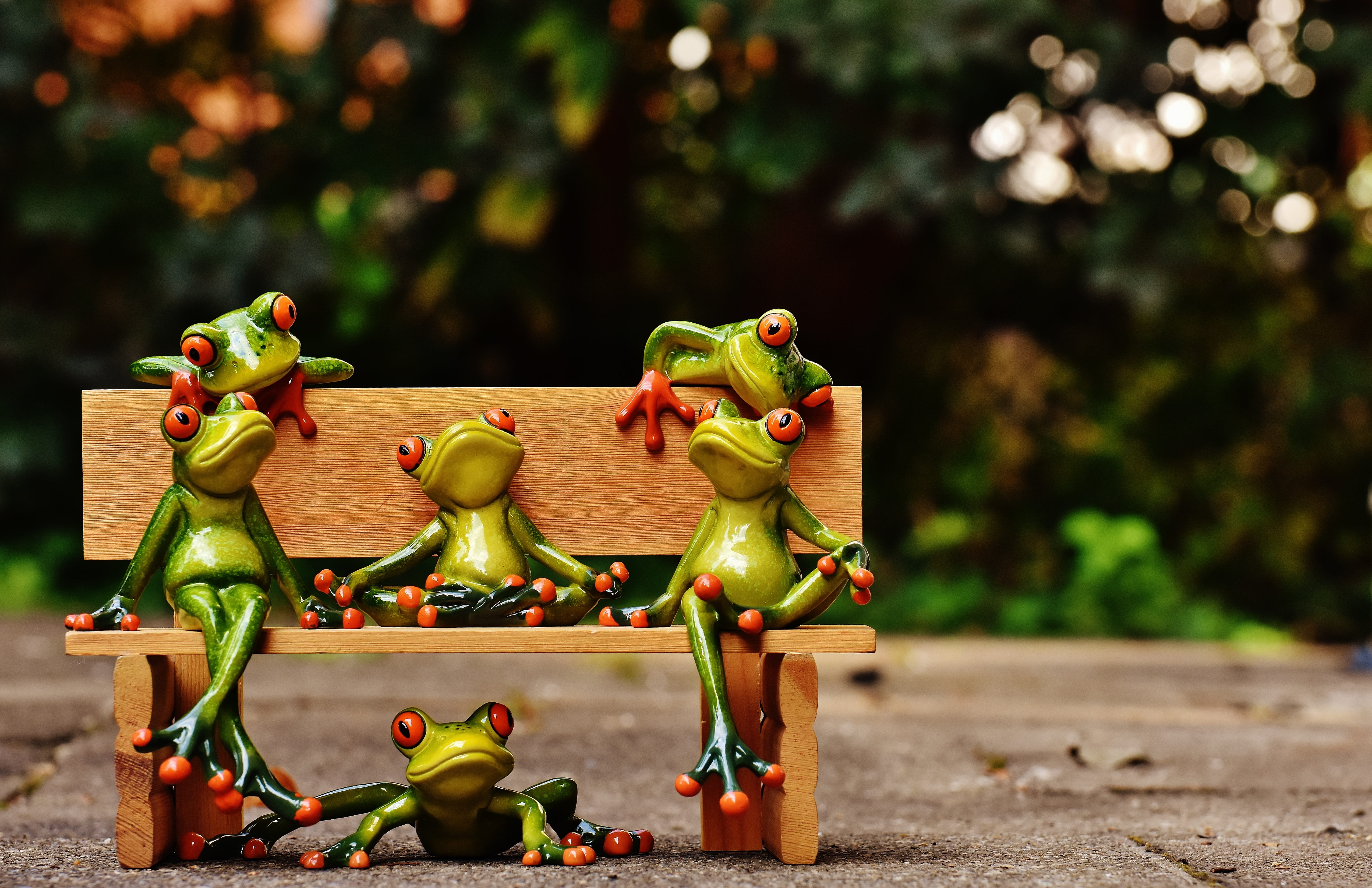 5K, sociable, healthy eating, figure, relaxed, bench, sit, animal world, plant, focus on foreground, day, close-up, food and drink, sweet, rest, funny, HD Wallpaper