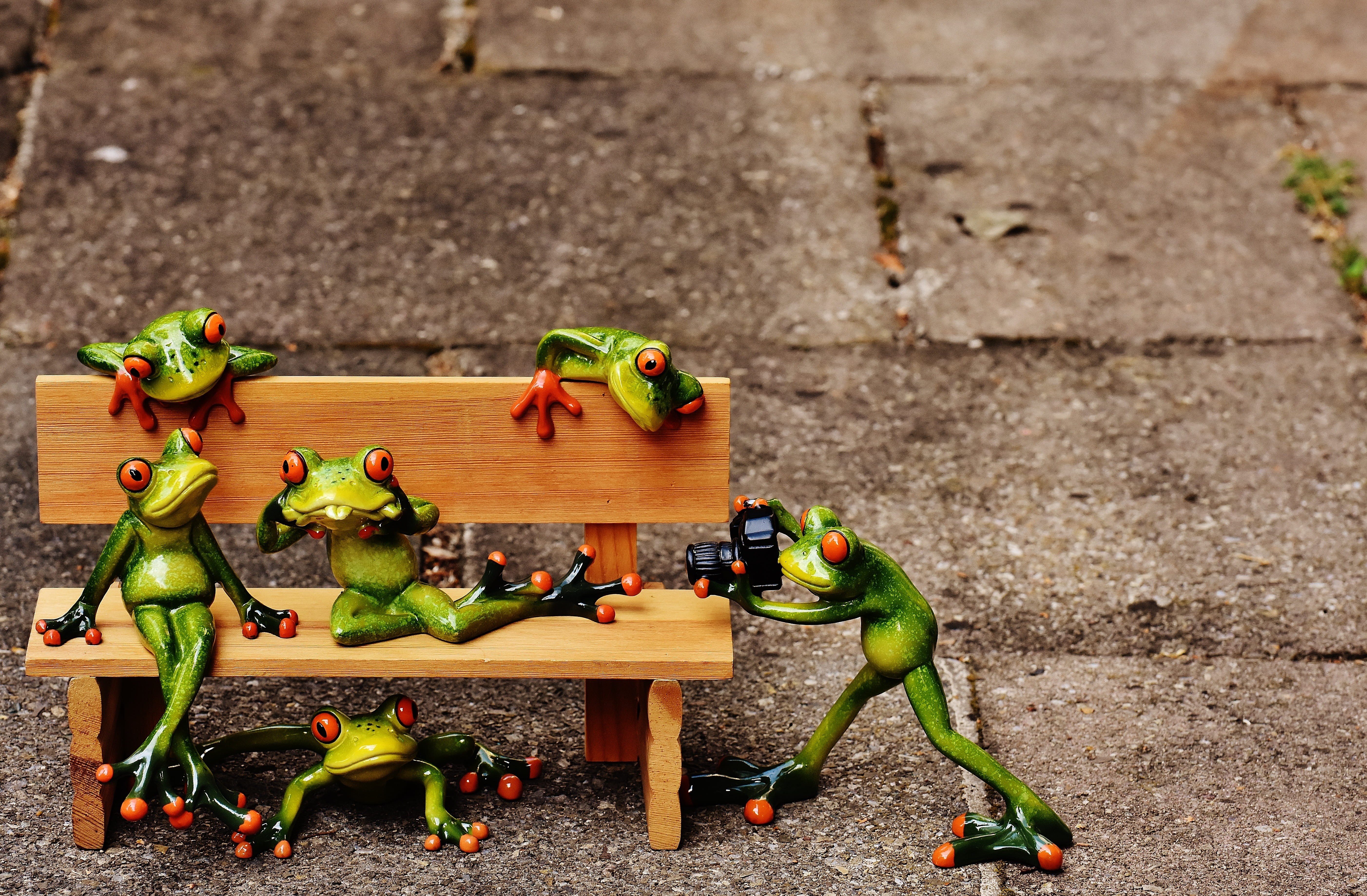 no people, human representation, 5K, sweet, green color, creativity, animal world, high angle view, figurine, figure, frogs, day, representation, relaxation, HD Wallpaper