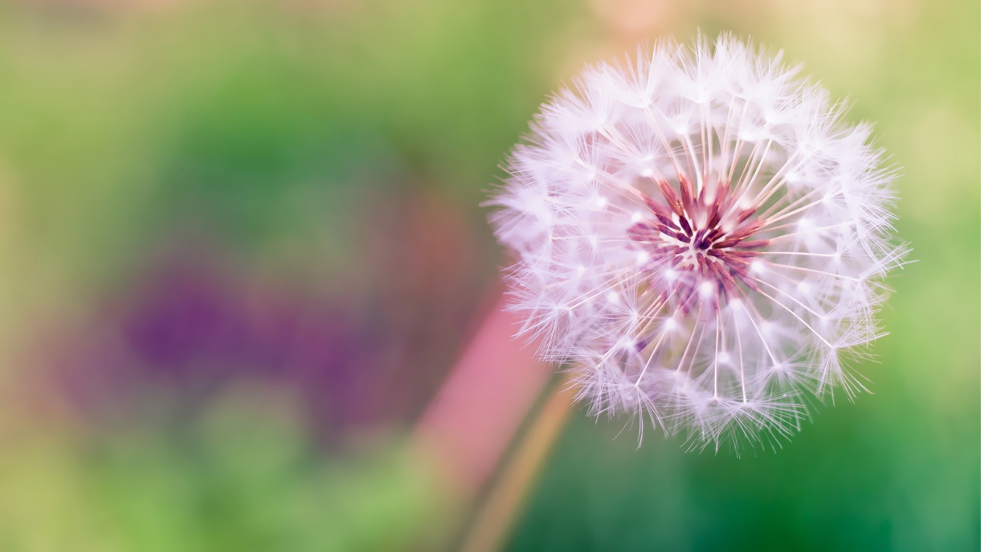 HTC Sense 6, 1080P, HTC One M8, HD Wallpaper