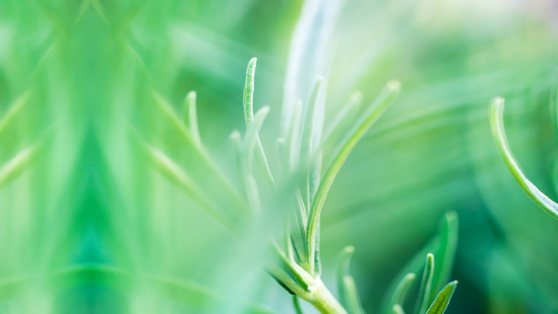 HTC Sense 6, 1080P, HTC One M8, HD Wallpaper