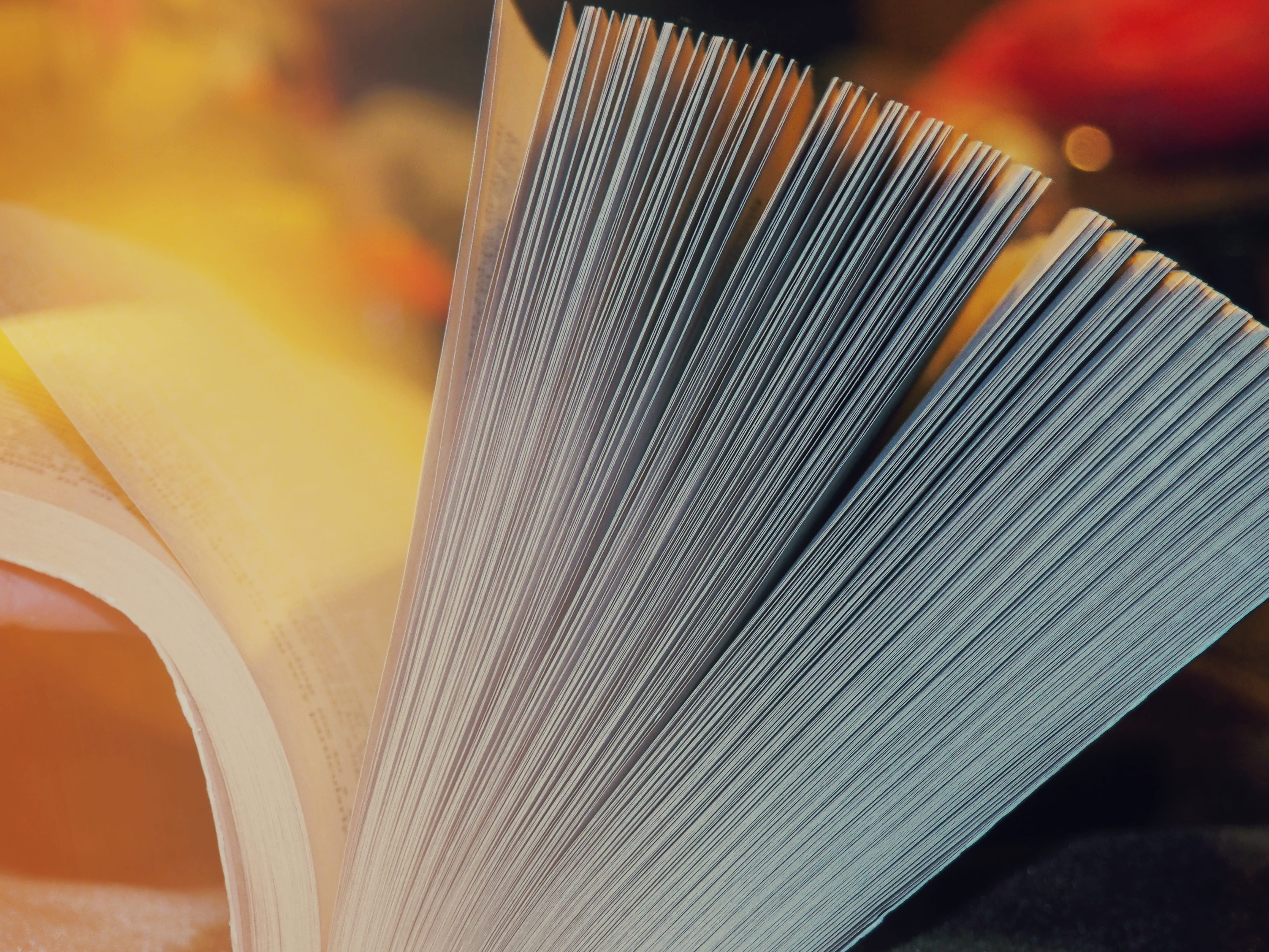 manufacturing equipment, learning, shallow, literature, focus, white book, loom, creativity, textile, selective focus, reading, indoors, library, close, HD Wallpaper