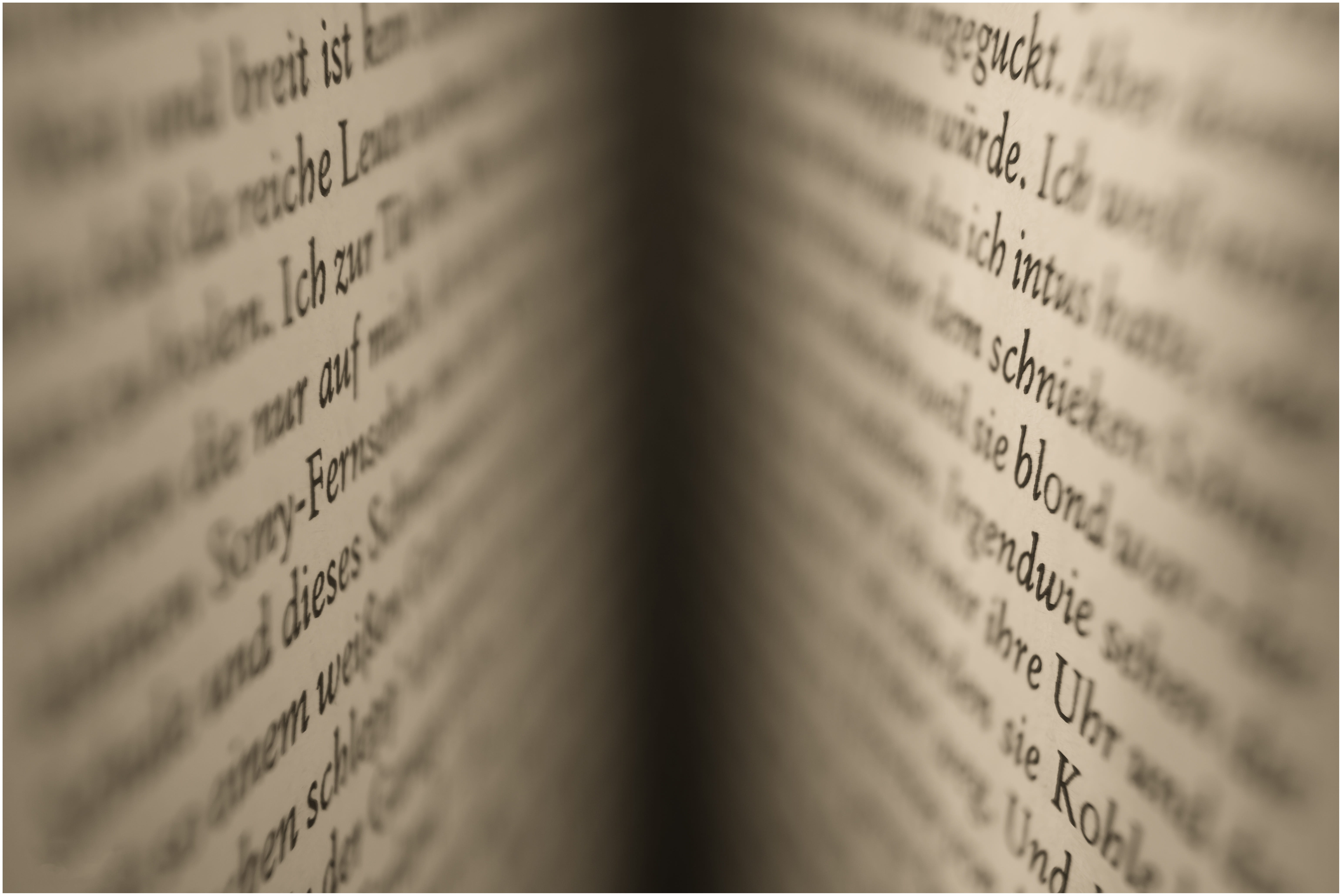 text, western script, scripture, learning, still life, indoors, learn, literature, macro, education, wisdom, photography, backgrounds, data, open, selective focus, HD Wallpaper