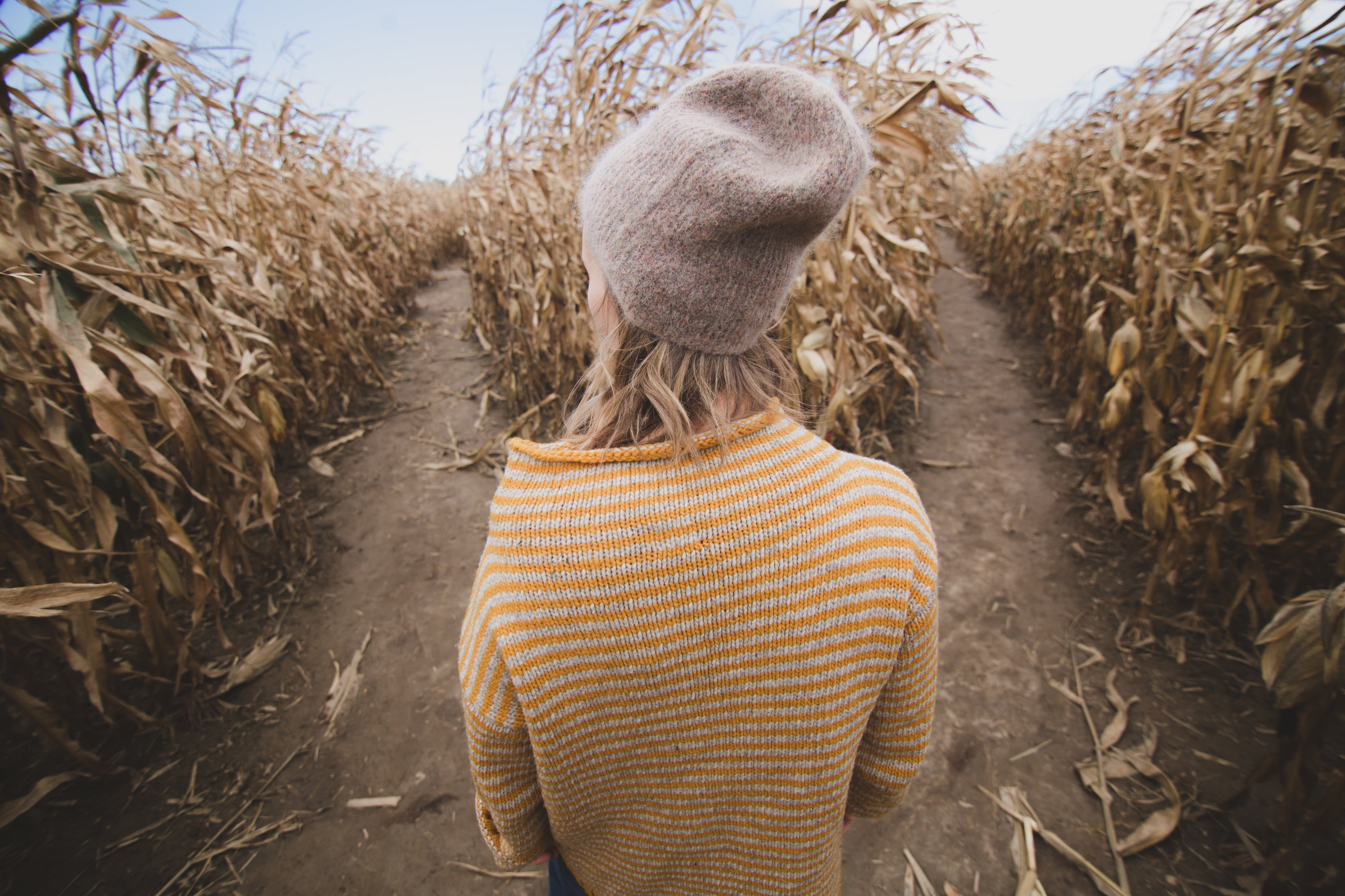 looking, daytime, cereal plant, women, stripe, brown, outdoors, cap, crop, farm, field, yellow, fork in the road, growth, knit, landscape, corn - crop, HD Wallpaper