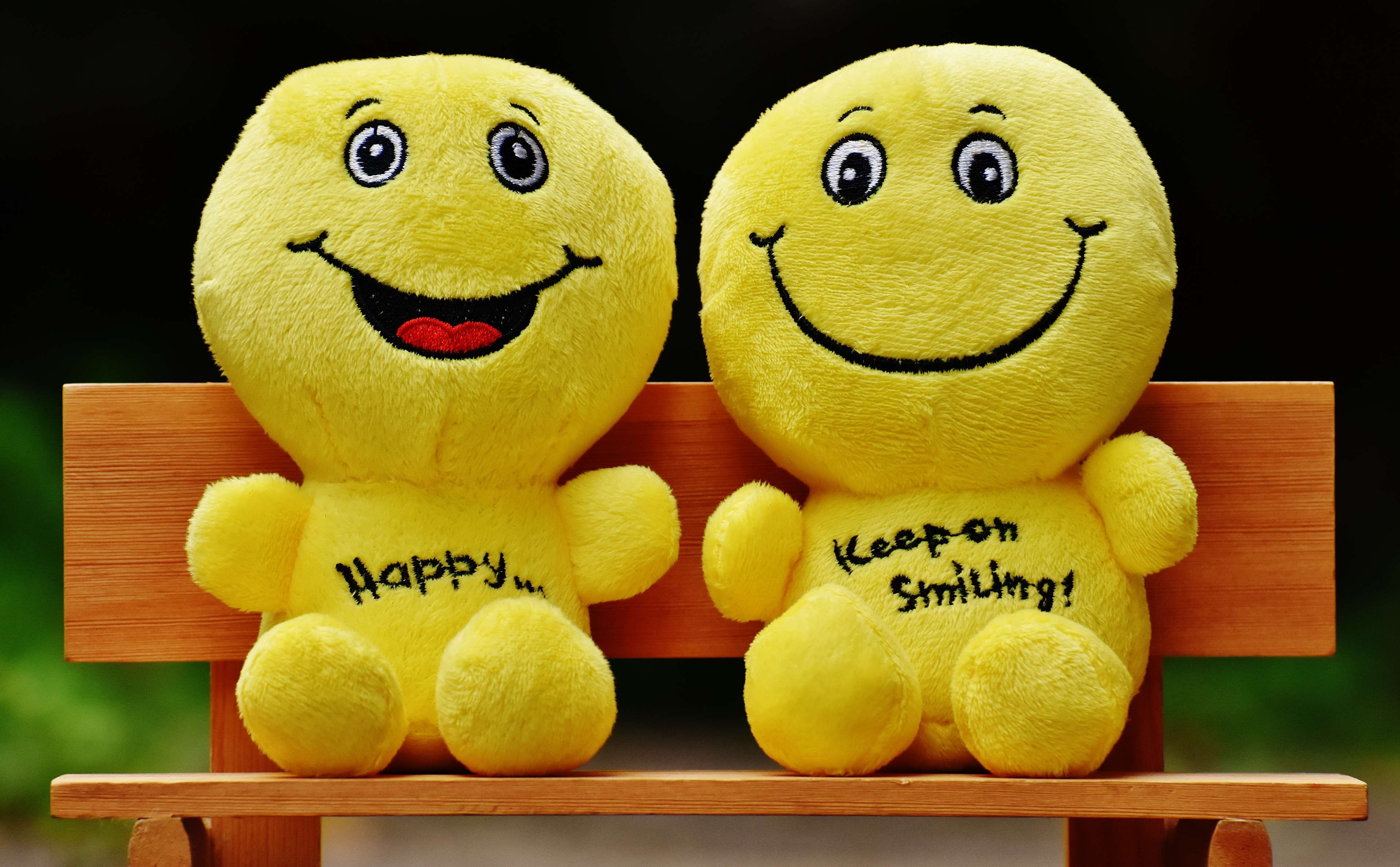 no people, cute, animal representation, face, stuffed toys, wood, representation, food, color, food and drink, smiley, plush toy, close-up, bench, anthropomorphic face, HD Wallpaper