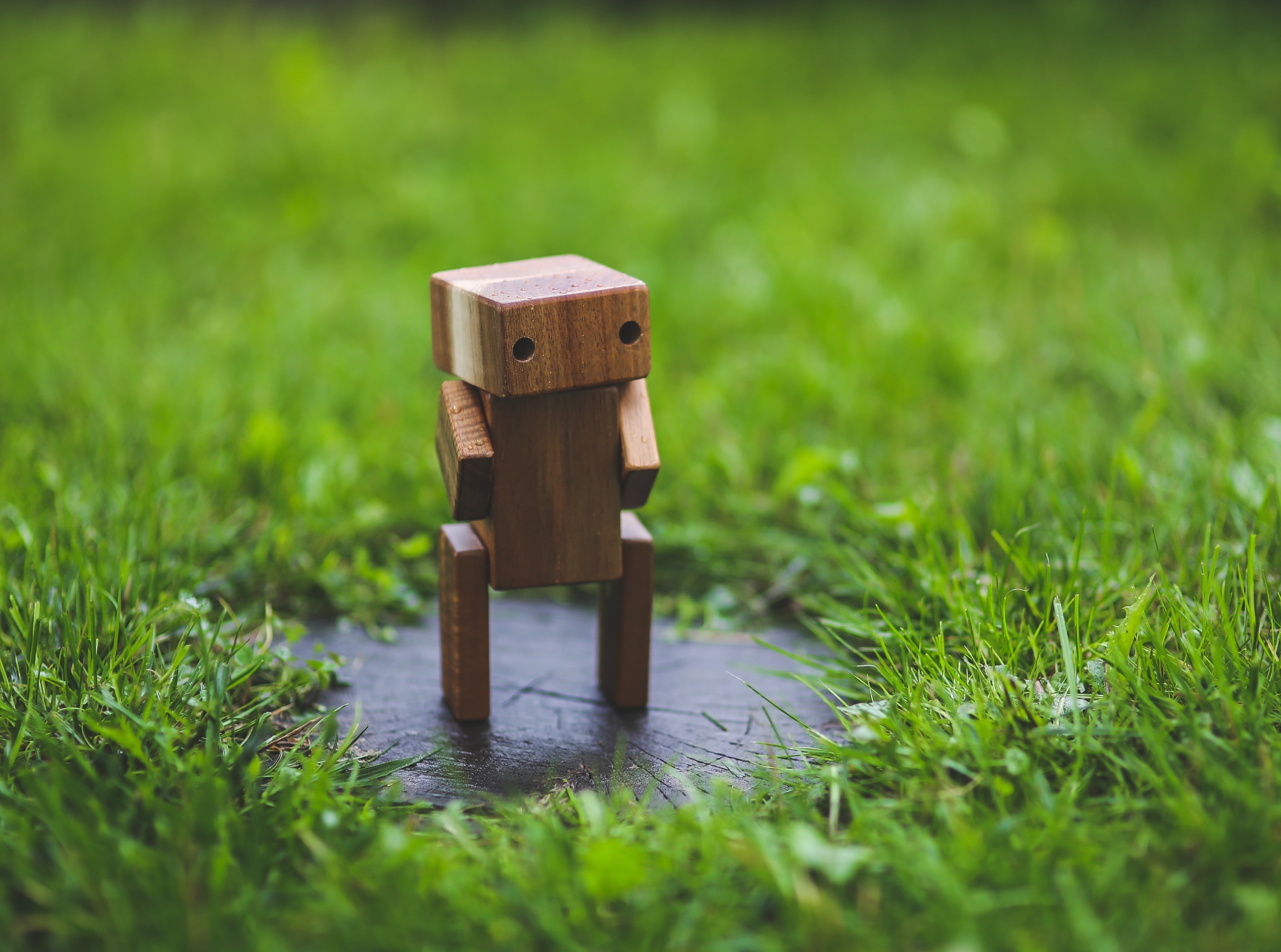 Wooden, selective focus, plant, outdoors, Lawn, danbo, green color, metal, toy, no people, figure, wood - material, nature, growth, 4K, Cute, safety, focus on foreground, HD Wallpaper