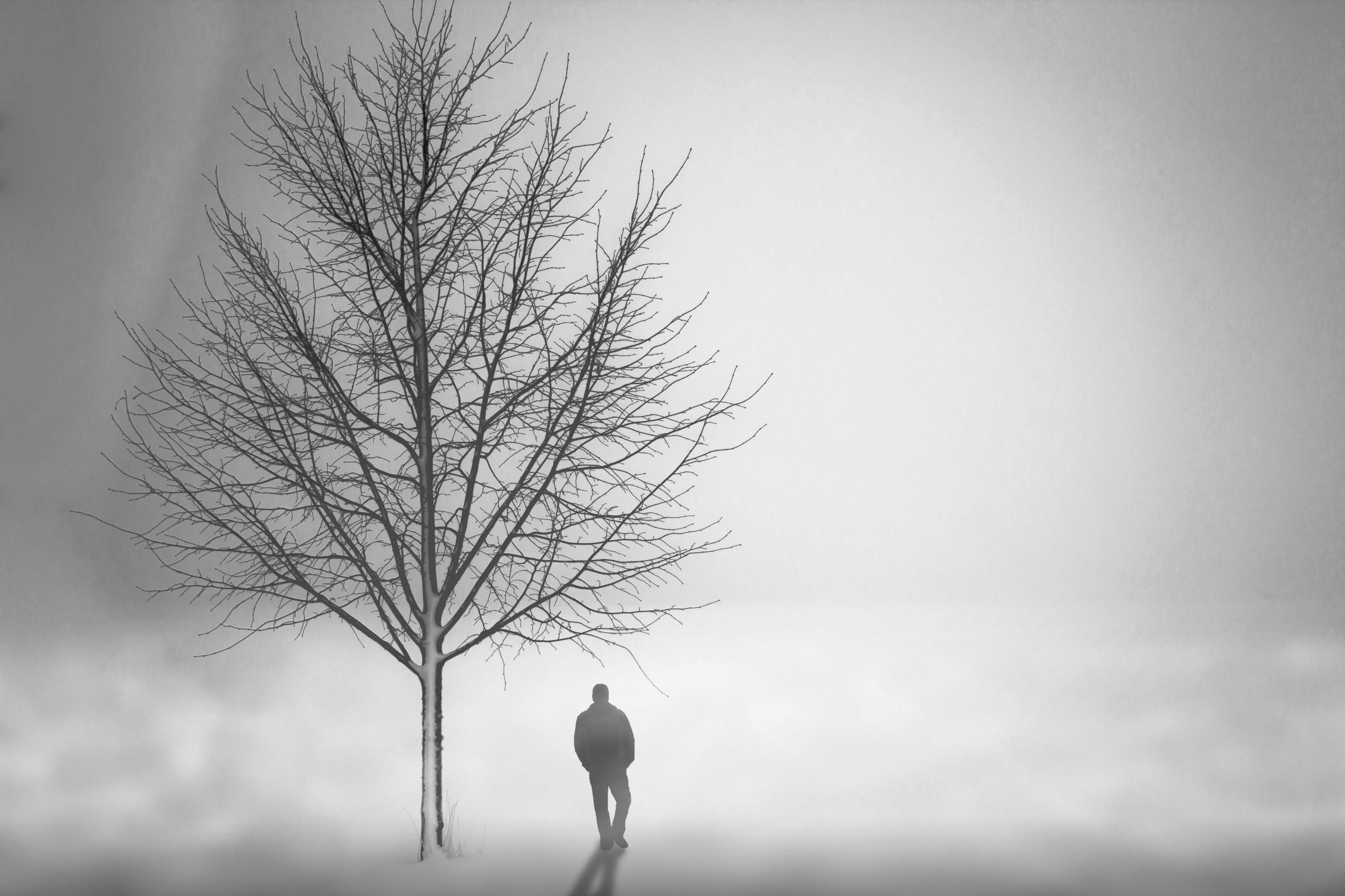 day, planning, outdoors, rear view, liquid, celebration, tree, luxury, solitude, real people, cup, white, dark, rough, party, looking at view, lifestyles, HD Wallpaper