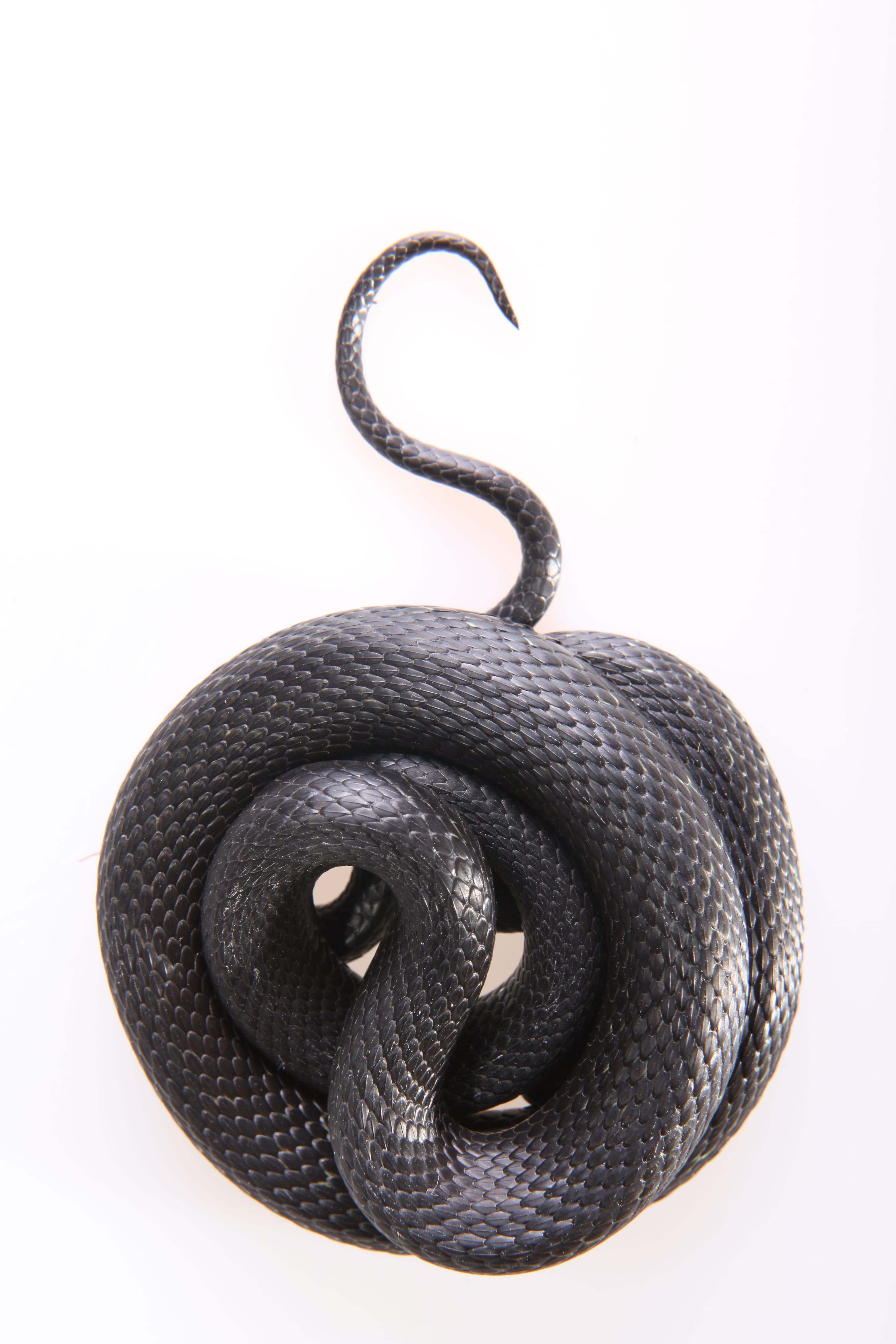 tongue, fear, reptile, textured, head, black color, curled up, slither, wire, cut out, one, cunning, macro, horizontal, danger, spiral, isolated, scale, Phone HD Wallpaper