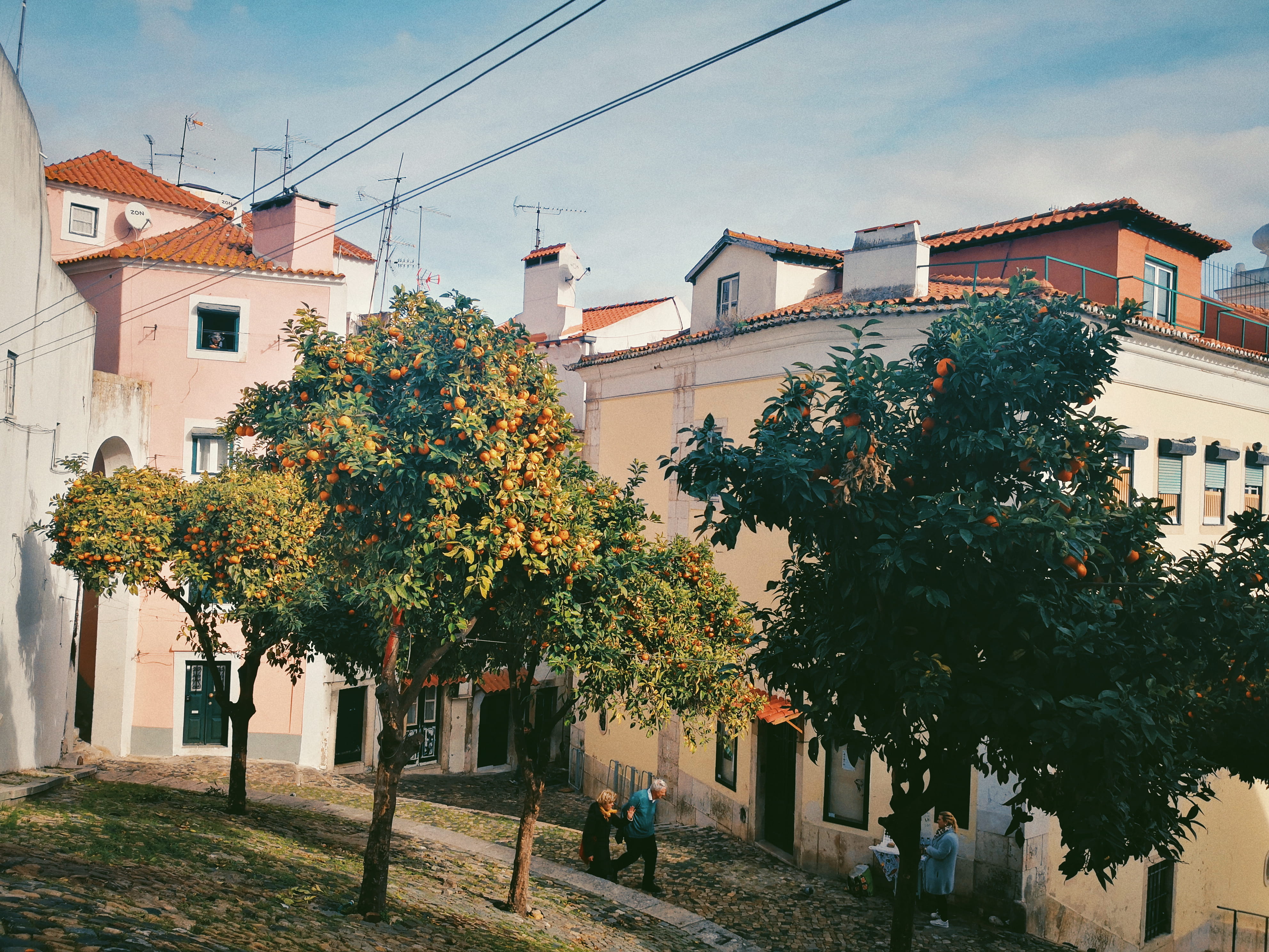 building, city, house, plant, real people, lisboa, outdoors, tower, people, spire, growth, sunlight, day, portugal, tree, walkway, men, 4K, steeple, beco da corvinha 8, HD Wallpaper