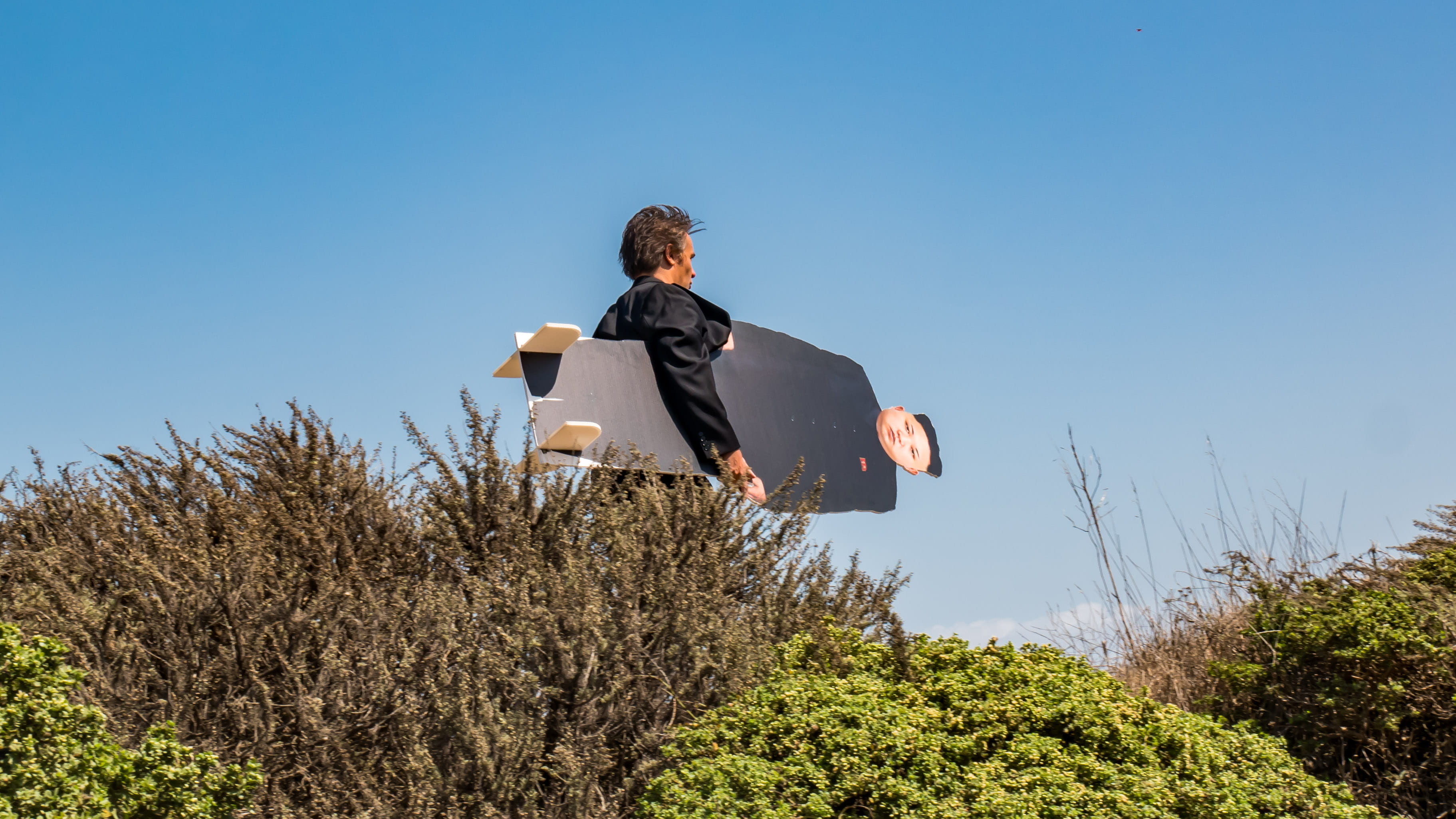 man, adult, 2K, green, nature, sunlight, motion, un, outdoors, copy space, business, tree, one person, cardboard, sky, blue, selfie, full length, men, HD Wallpaper