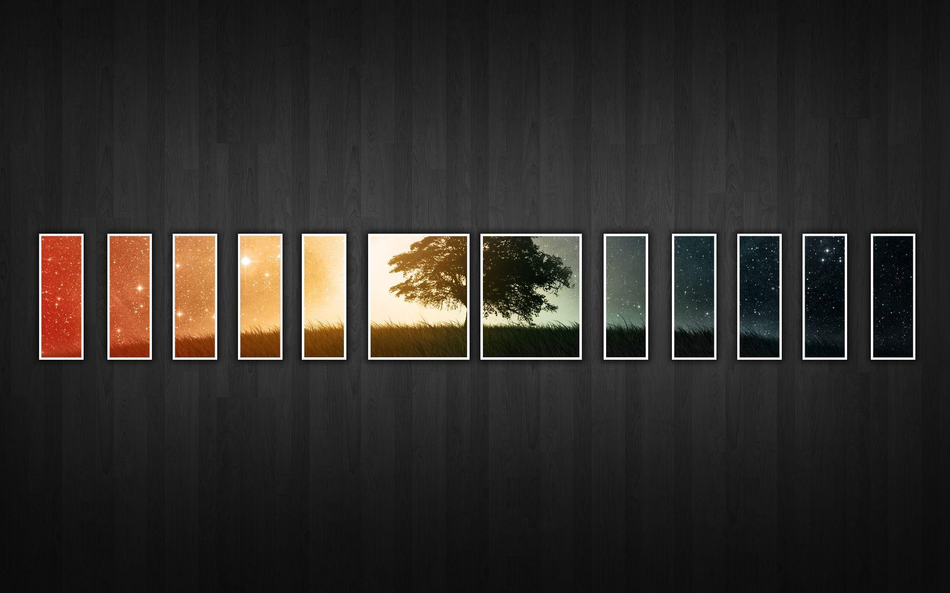 1920x1200, night, 1080P, wood, landscape, tree, photography, panel, panels, depicting, grass, wall, illustration, star, time, HD Wallpaper