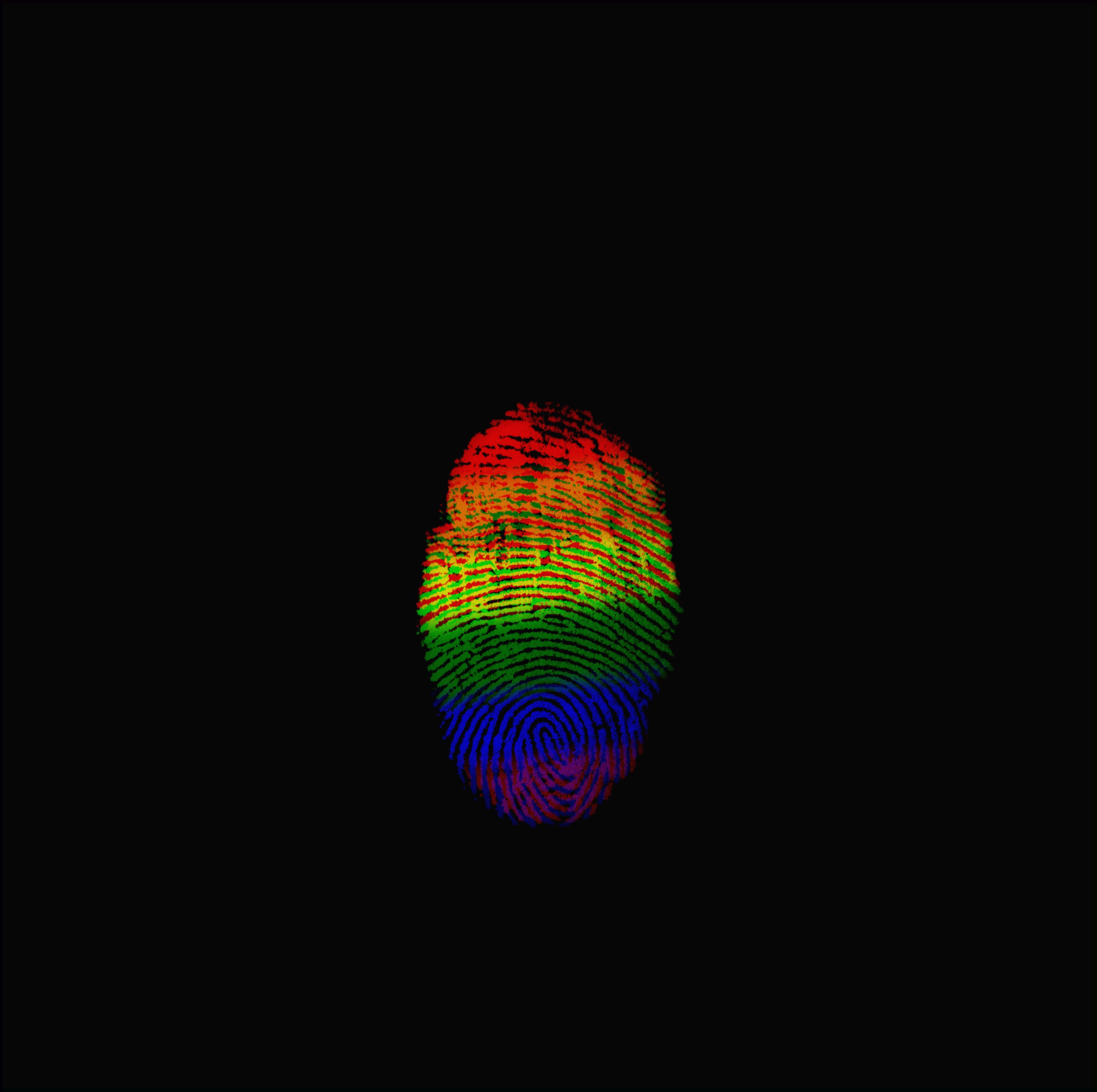 4K, rainbow, imprint, finger, colorful, HD Wallpaper