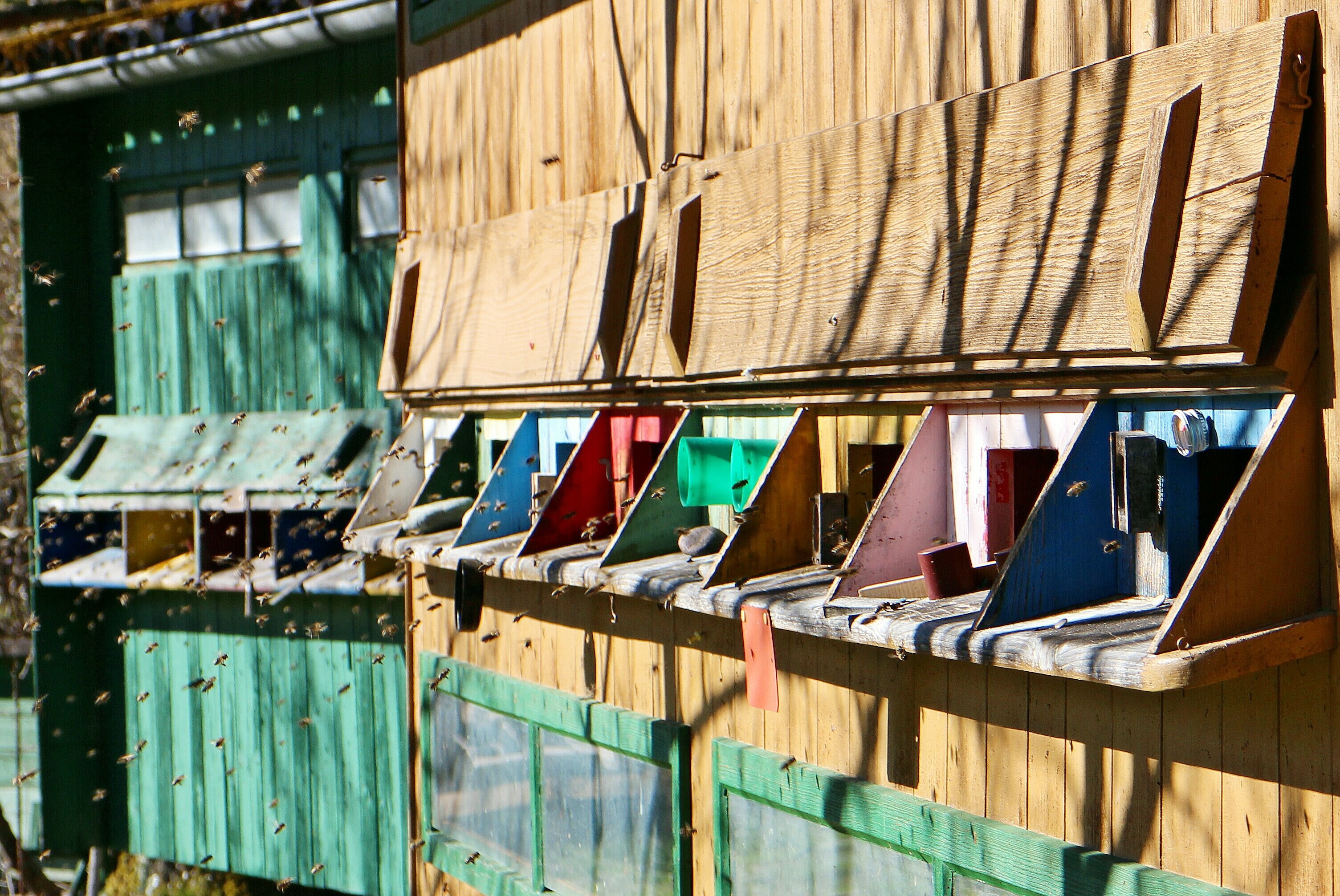 swarm, vacation, air hole, residential structure, no people, residential district, honey bee, bee, honey, corrugated, low angle view, hanging, built structure, HD Wallpaper