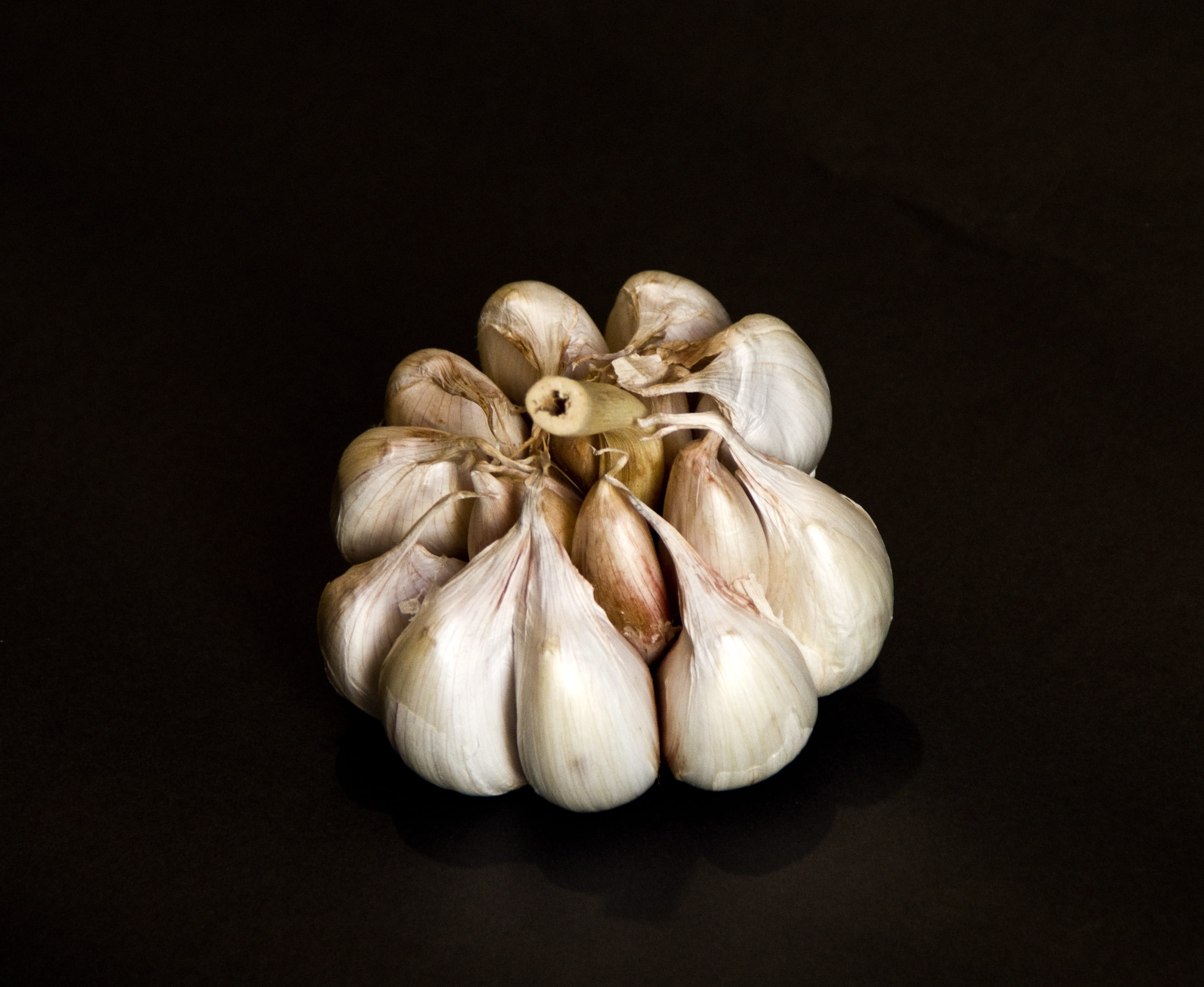 garlic clove, white color, cooking, studio shot, garlic, clove of garlic, freshness, no people, food and drink, raw food, products, still life, ingredient, HD Wallpaper