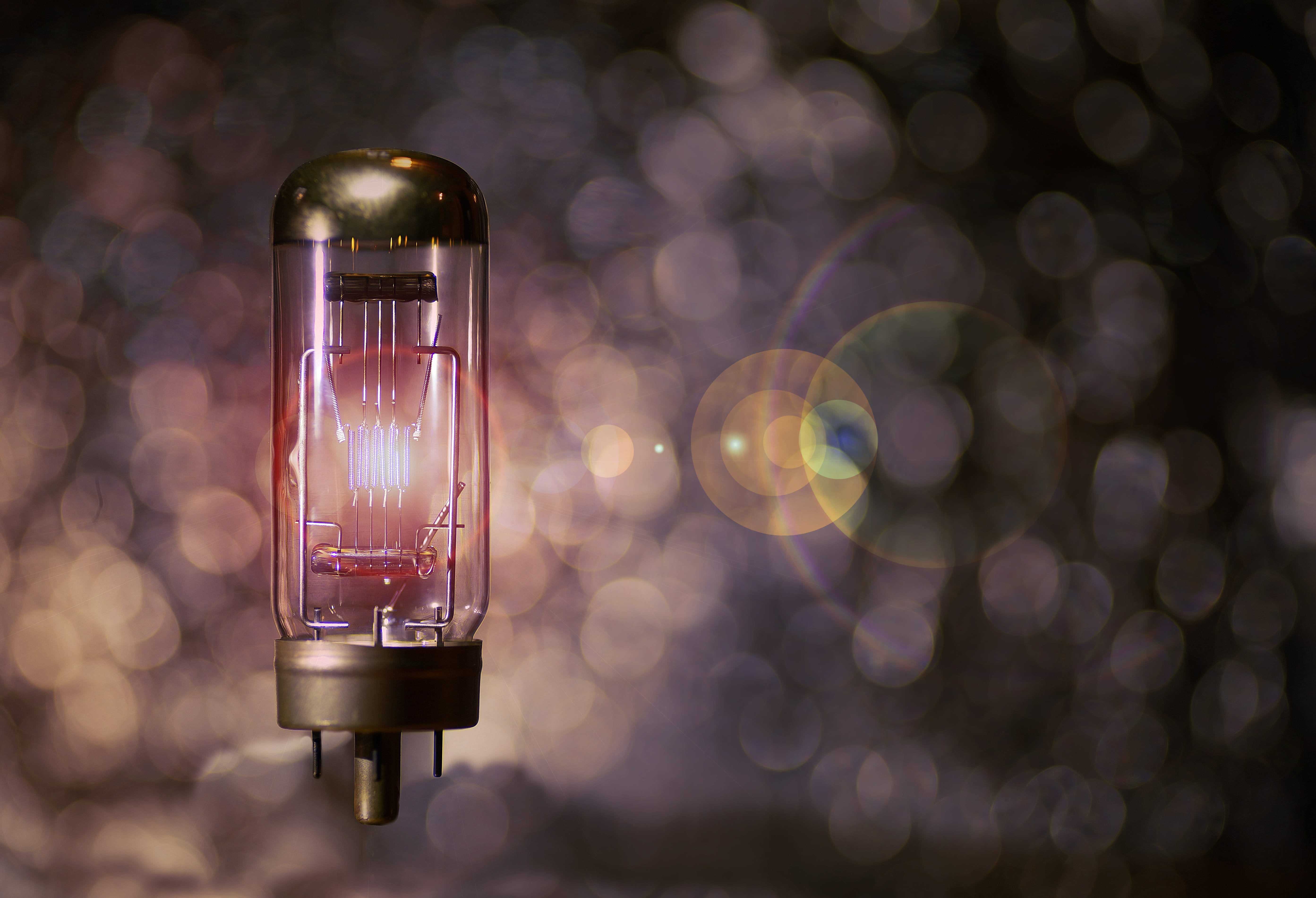 still life, incandescent, connection, light bulb, transparent, focus on foreground, single object, turned, power supply, lighting equipment, glass - material, HD Wallpaper
