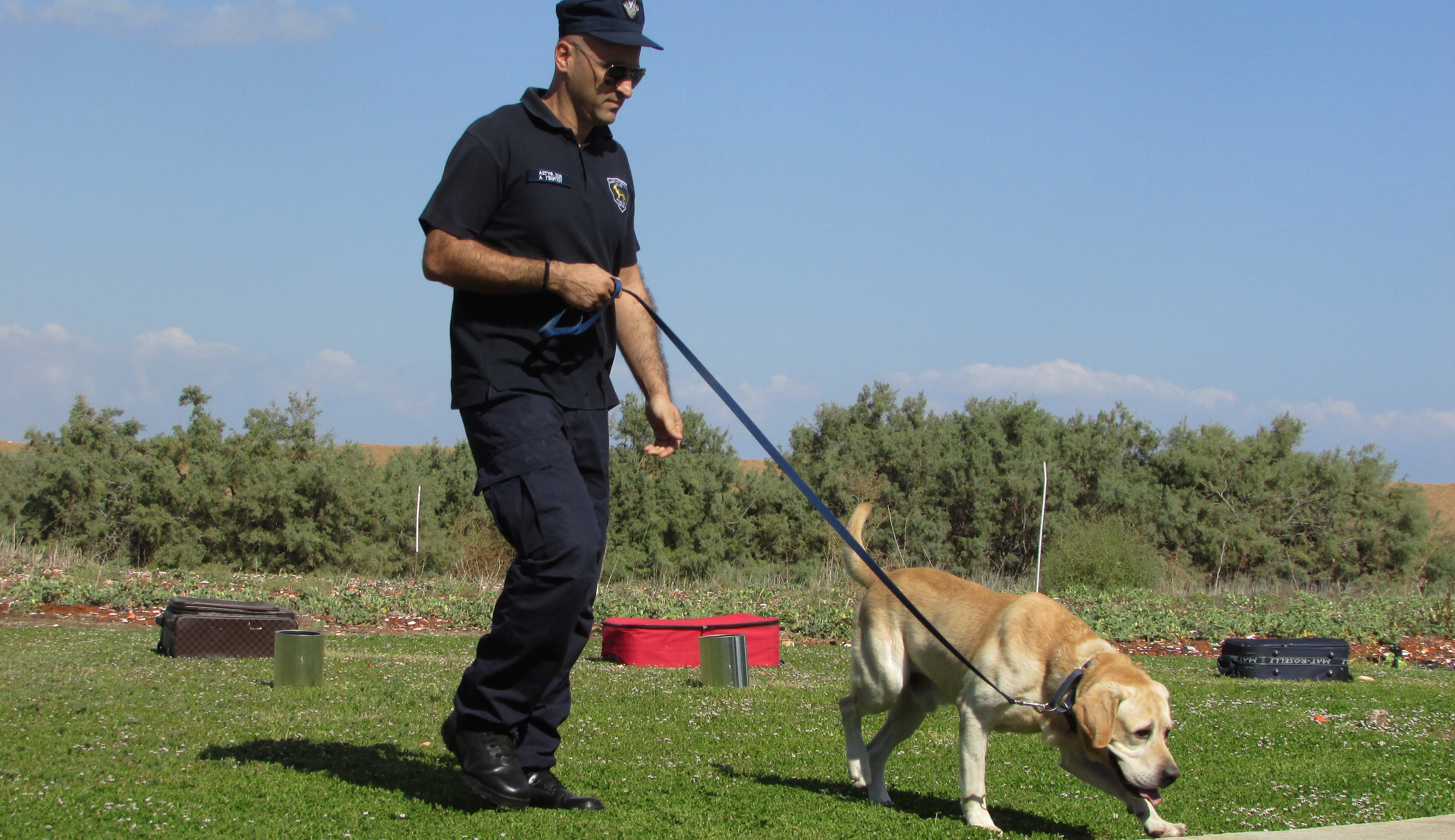 full length, plant, domestic animals, leash, domestic, man, 4K, dog, men, police dog, pet owner, police, mammal, demonstration, one person, nature, short, HD Wallpaper