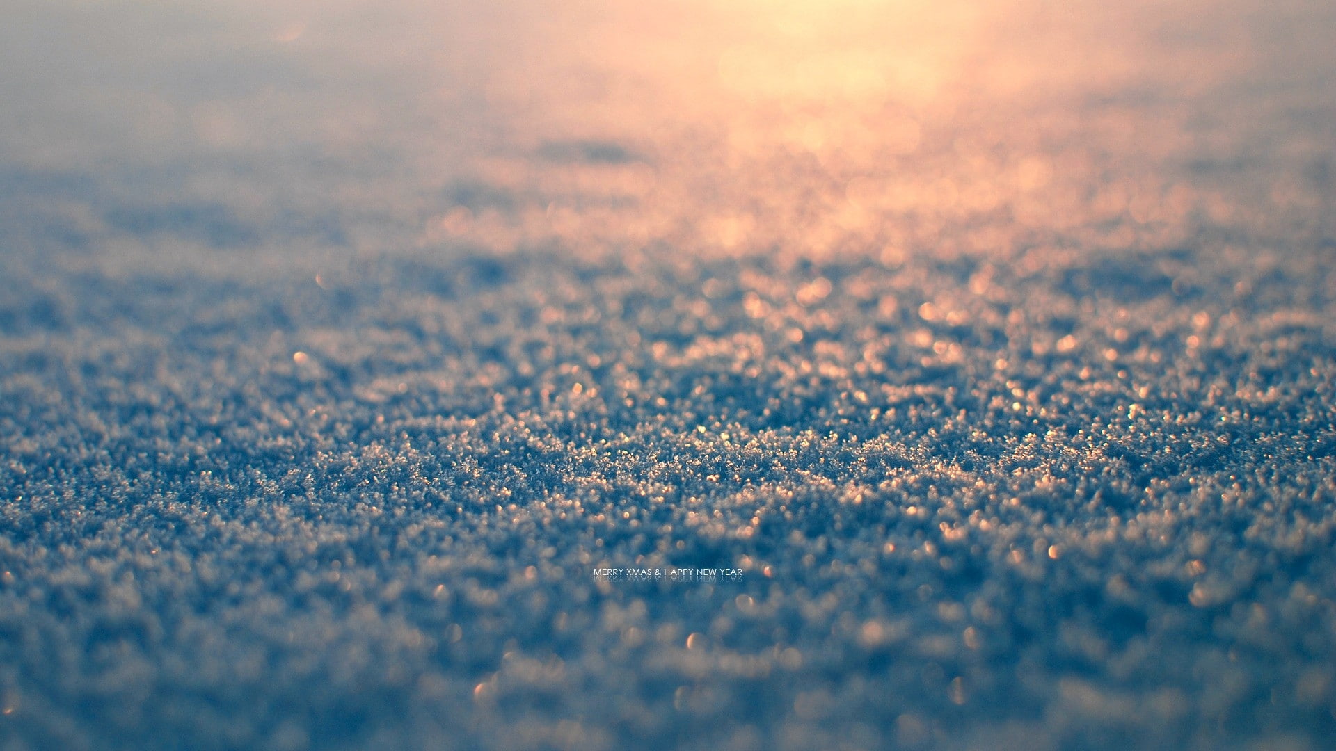 Winter, depth, seasons, 1080P, field, macro, snow, hd, depth of field, art, nature, HD Wallpaper