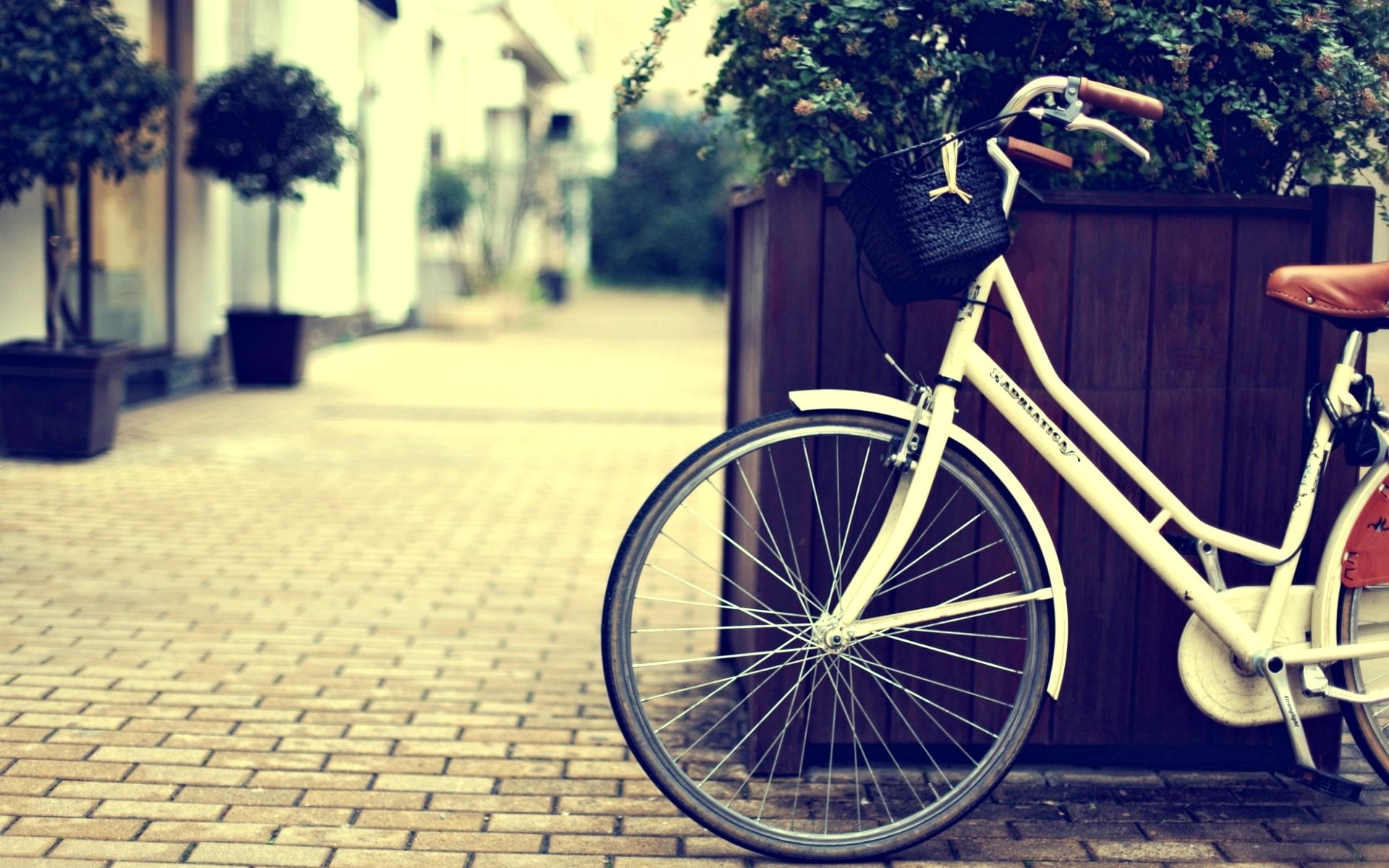 basket, widescreen, 1080P, city, wheel, street, fullscreen, background, bike, plant, miscellanea, flowers, HD Wallpaper