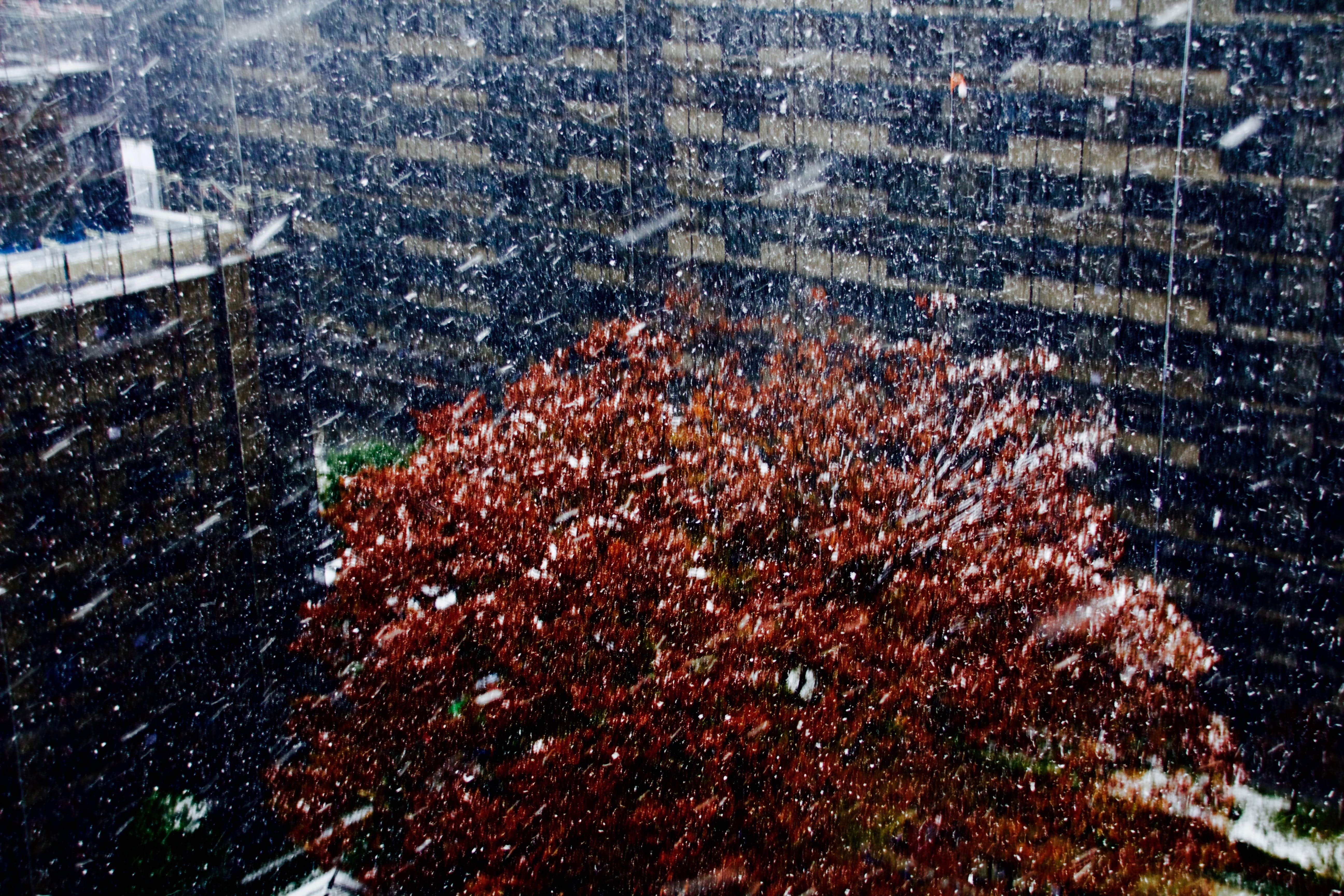 fall, day, tree, motion, water, no people, beauty in nature, window, japan, drop, snowing, transparent, blizzard, sagamiono, plant, nature, sagamihara, HD Wallpaper