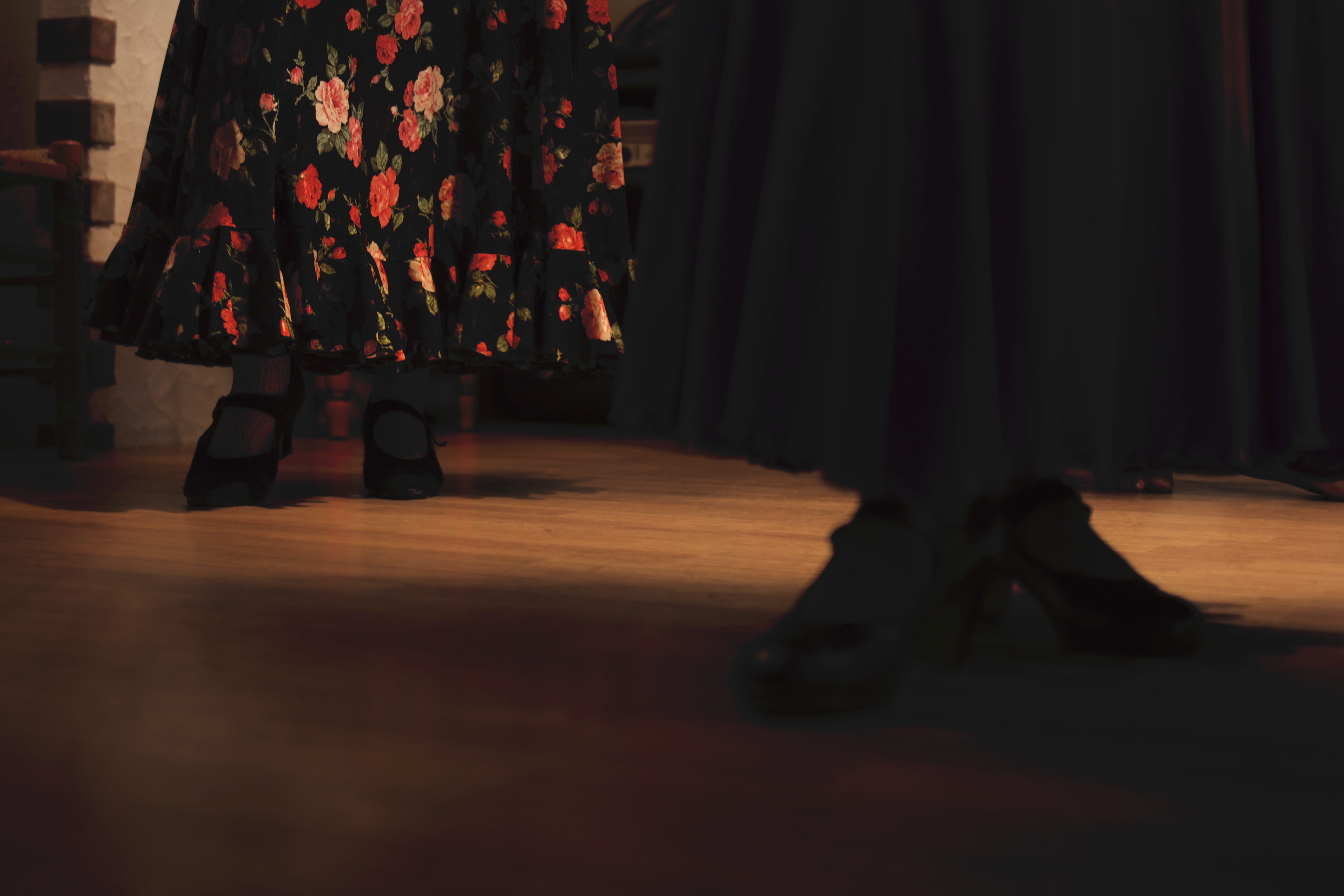 wood, women, lifestyles, japan, human leg, shoes, decoration, real people, people, step, indoors, flamenco, yabe, lighting equipment, dance, rhythm, tree, HD Wallpaper