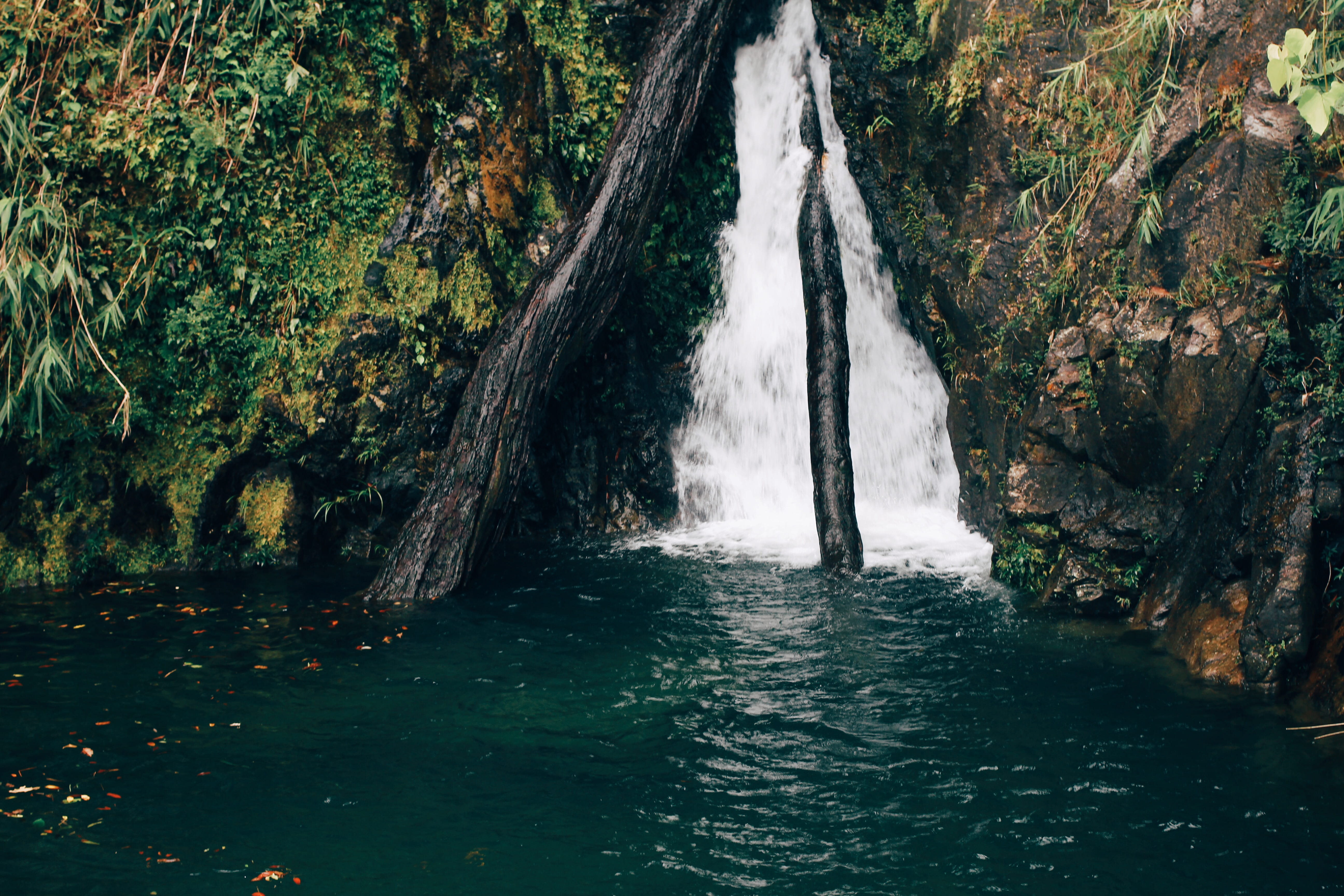 environment, motion, waterfront, tranquility, rainforest, rock, beauty in nature, tree, waterfall, land, power in nature, 5K, forest, water, nature, vietnam, HD Wallpaper
