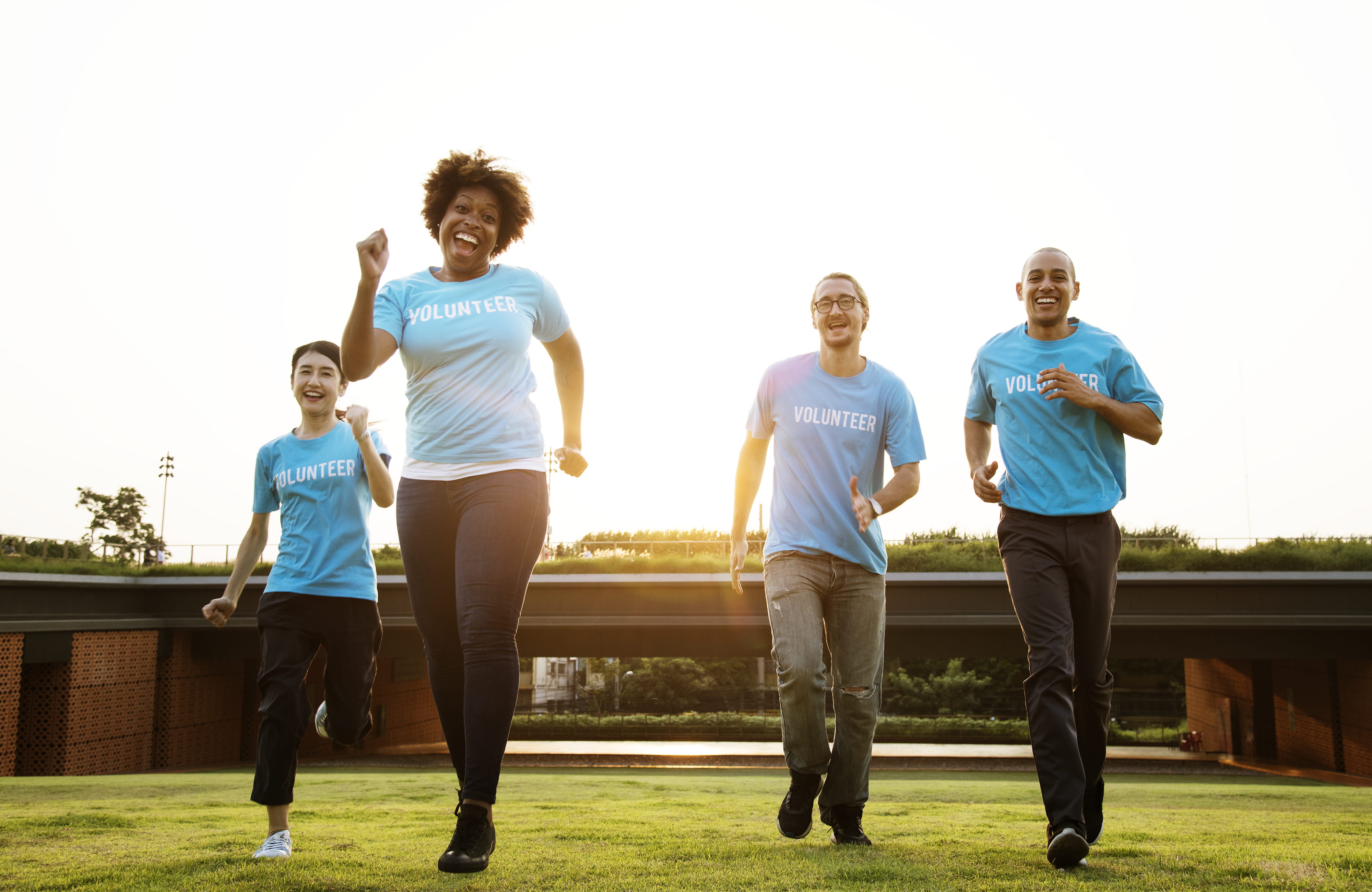 full length, collaboration, casual clothing, vitality, community service, togetherness, group of people, smile, community, leisure, team, lifestyles, voluntary, HD Wallpaper