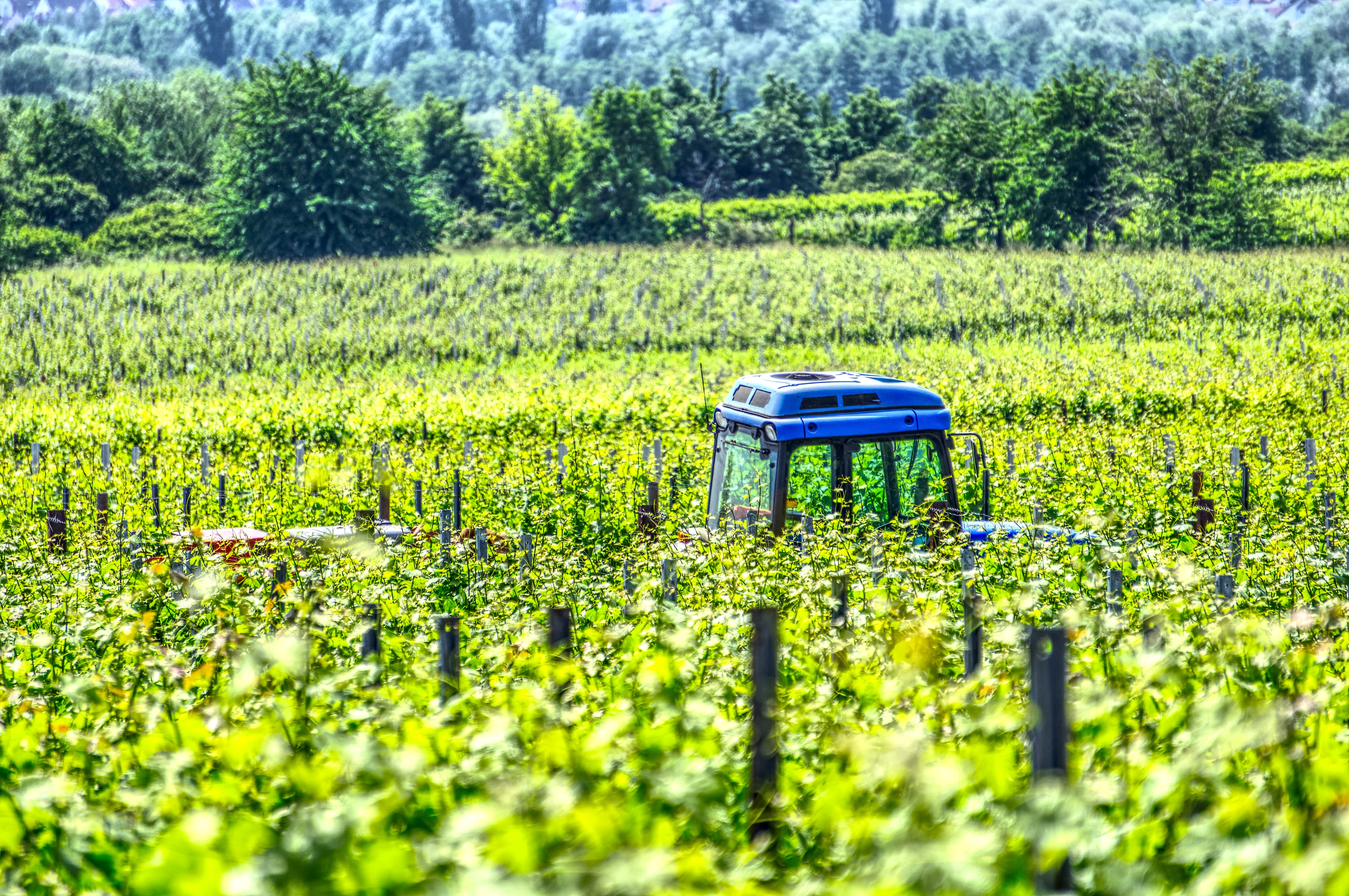 nature, plant, harvester, hdr, tractors, no people, land, agriculture, vineyard, landscape, bauer, tractor, contrast, high dynamic range, vehicle, environment, HD Wallpaper