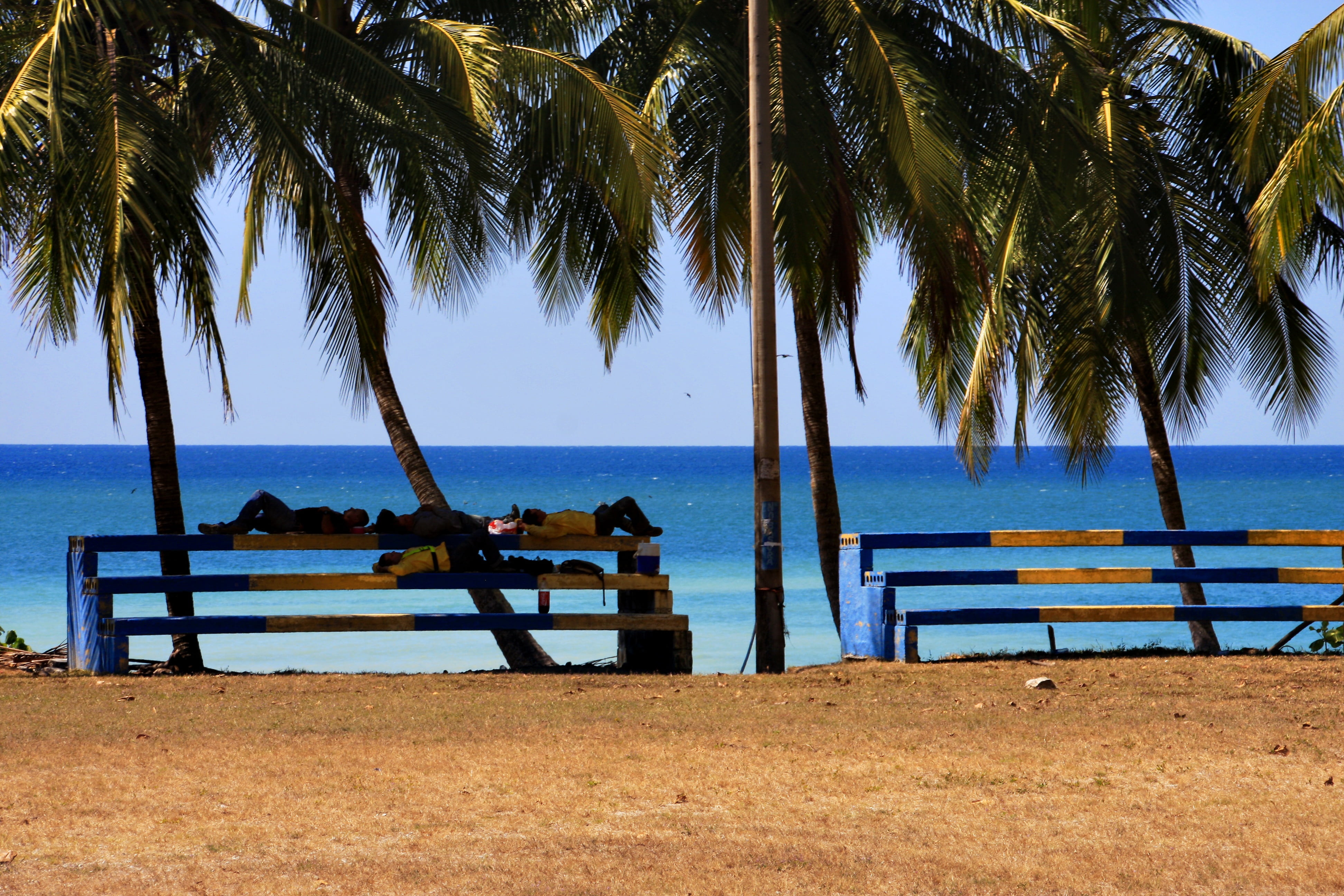 tree, tropical climate, scenics - nature, bench, land, siesta, coast, sea, sky, beauty in nature, beach, 4K, outdoors, bank, seat, costa rica, football field, HD Wallpaper