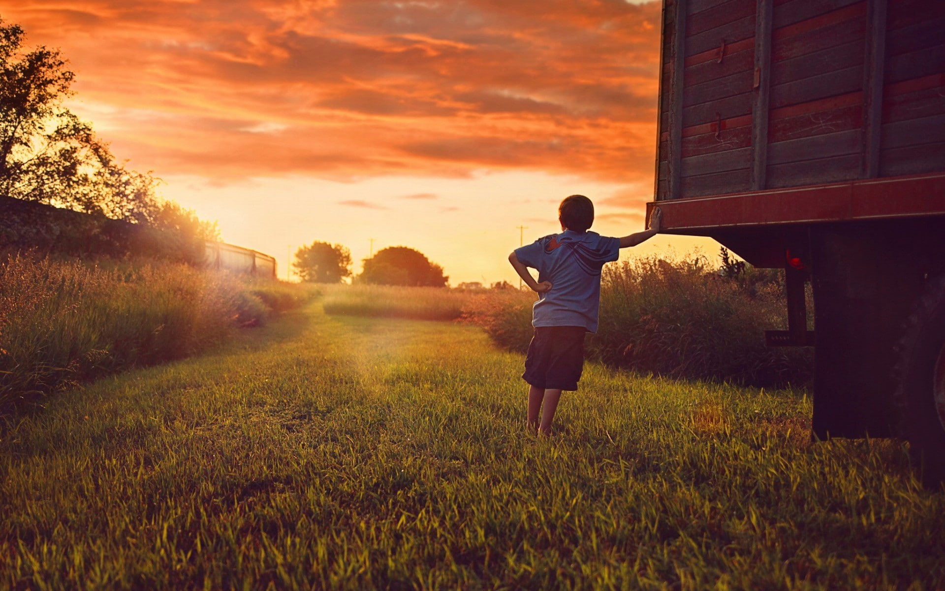 sunset, plant, lifestyles, sky, leisure activity, full length, real people, cloud - sky, beauty in nature, 1080P, boys, orange sky, rear view, nature, HD Wallpaper
