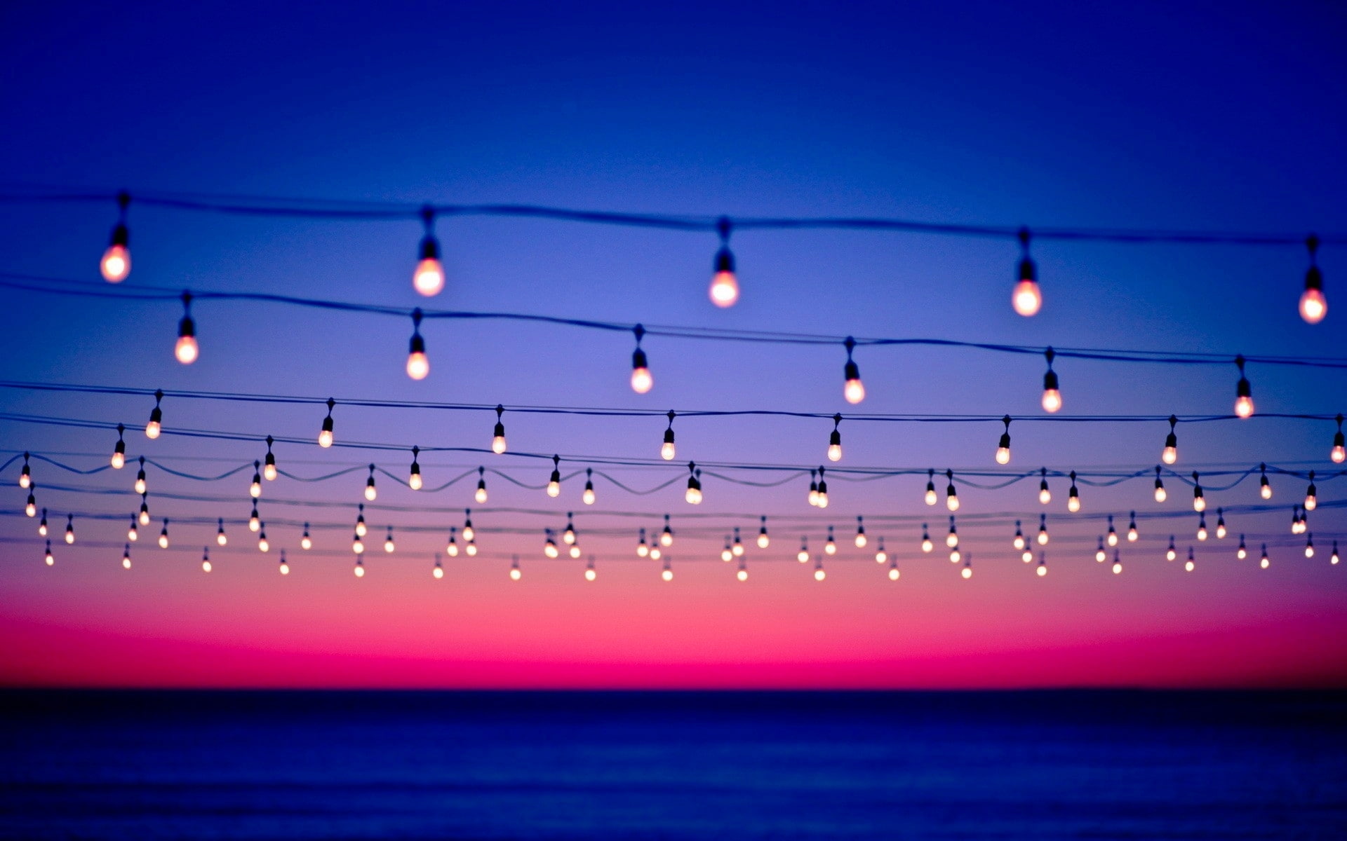 light bulb, depth of field, 1080P, sunset, nature, HD Wallpaper