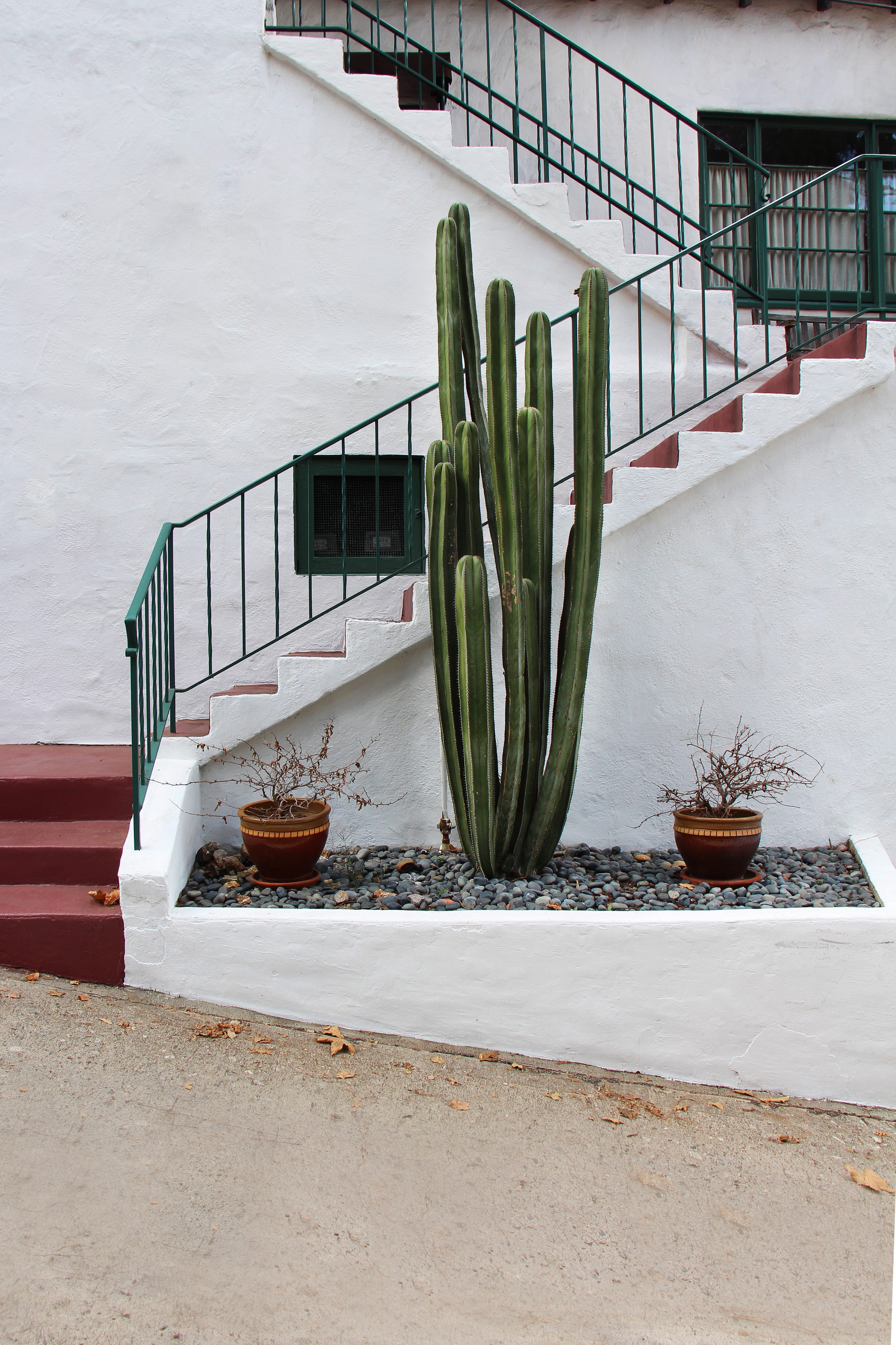 outdoors, day, succulent plant, 4K, building exterior, flower pot, no people, garden, green color, cactus, nature, steps and staircases, city, building, Phone HD Wallpaper