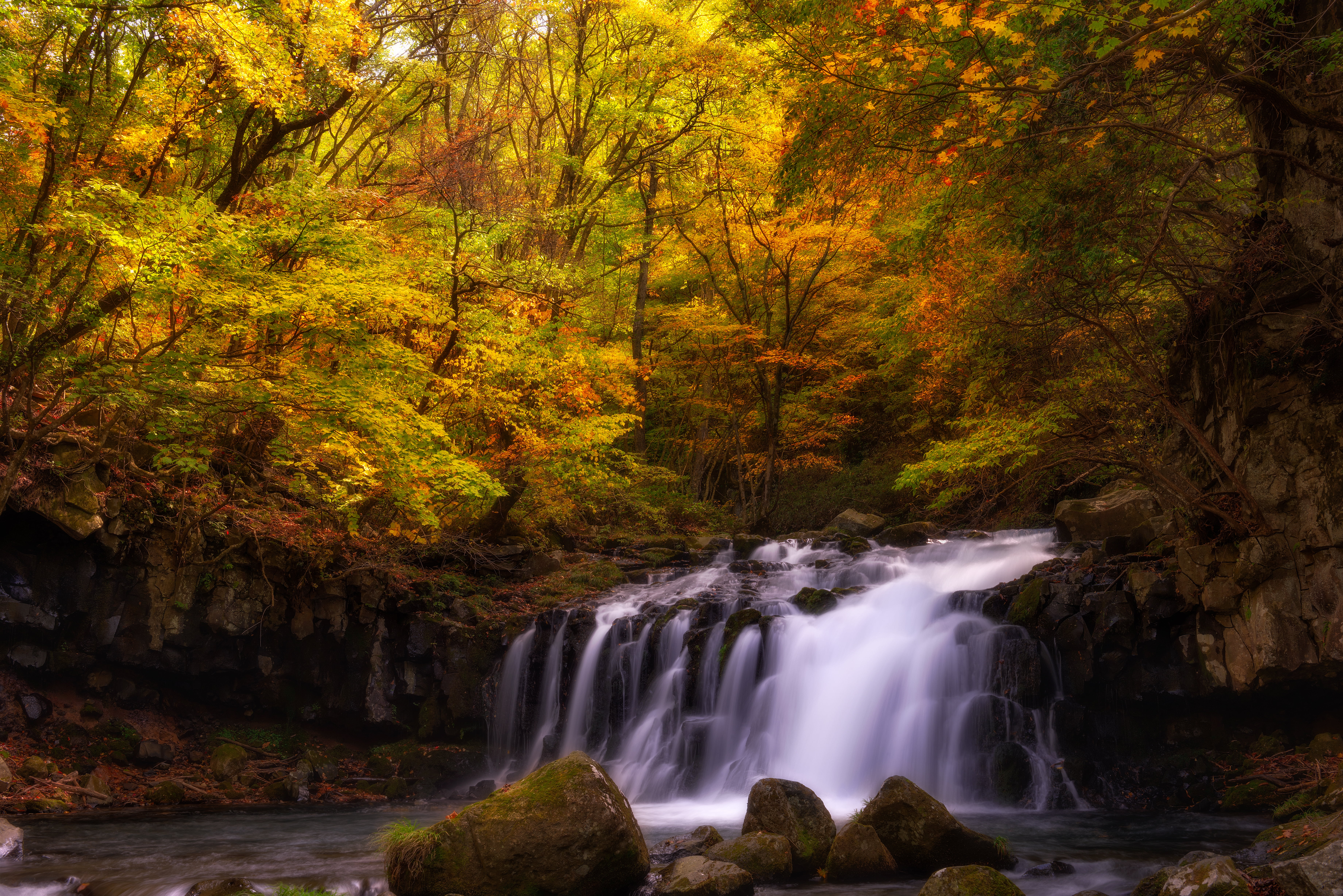 Thoughts, Sparkling, water, river, outdoors, autumn, stream, waterfalls, landscape, forest, daytime, tree, 5K, leaf, autumn  flow, scenics, falling, Japan, HD Wallpaper