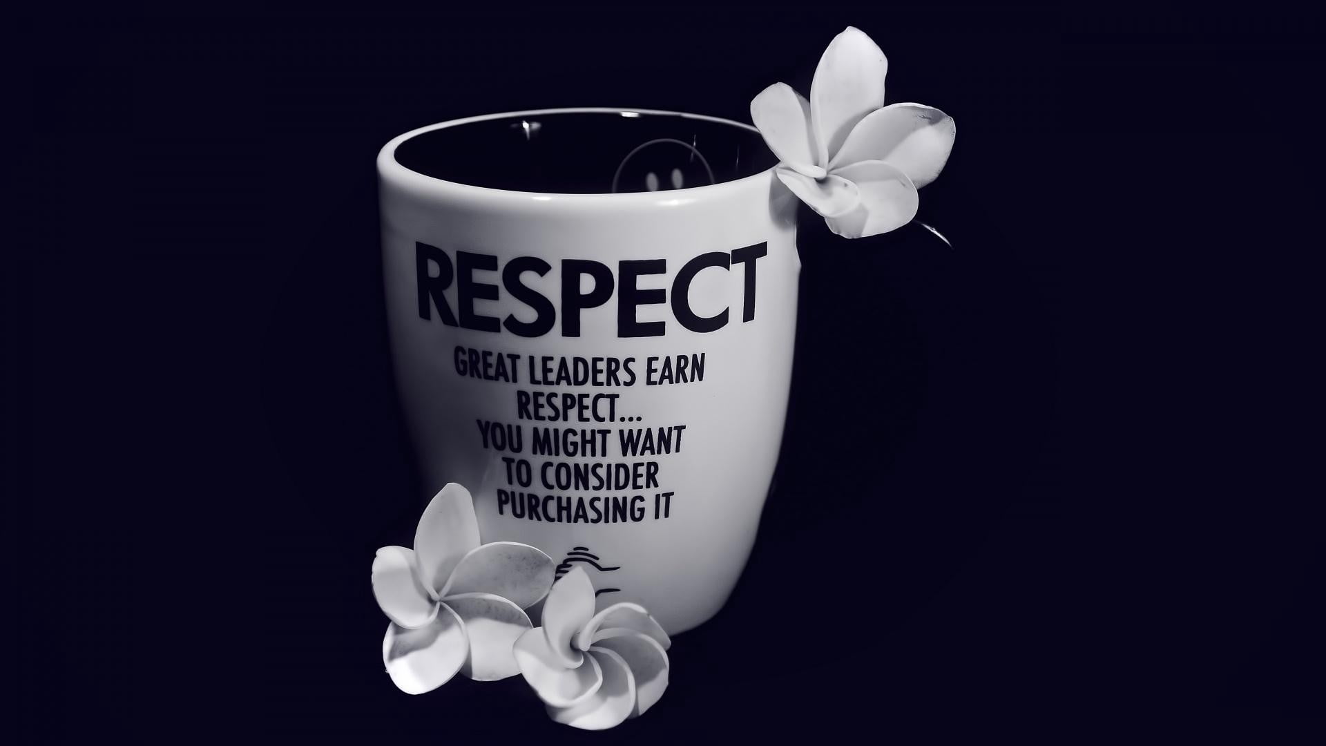 text, background, coffee, food and drink, ceramic, close-up, heat - Temperature, western script, white color, drink, flowers, communication, mug, studio shot, HD Wallpaper