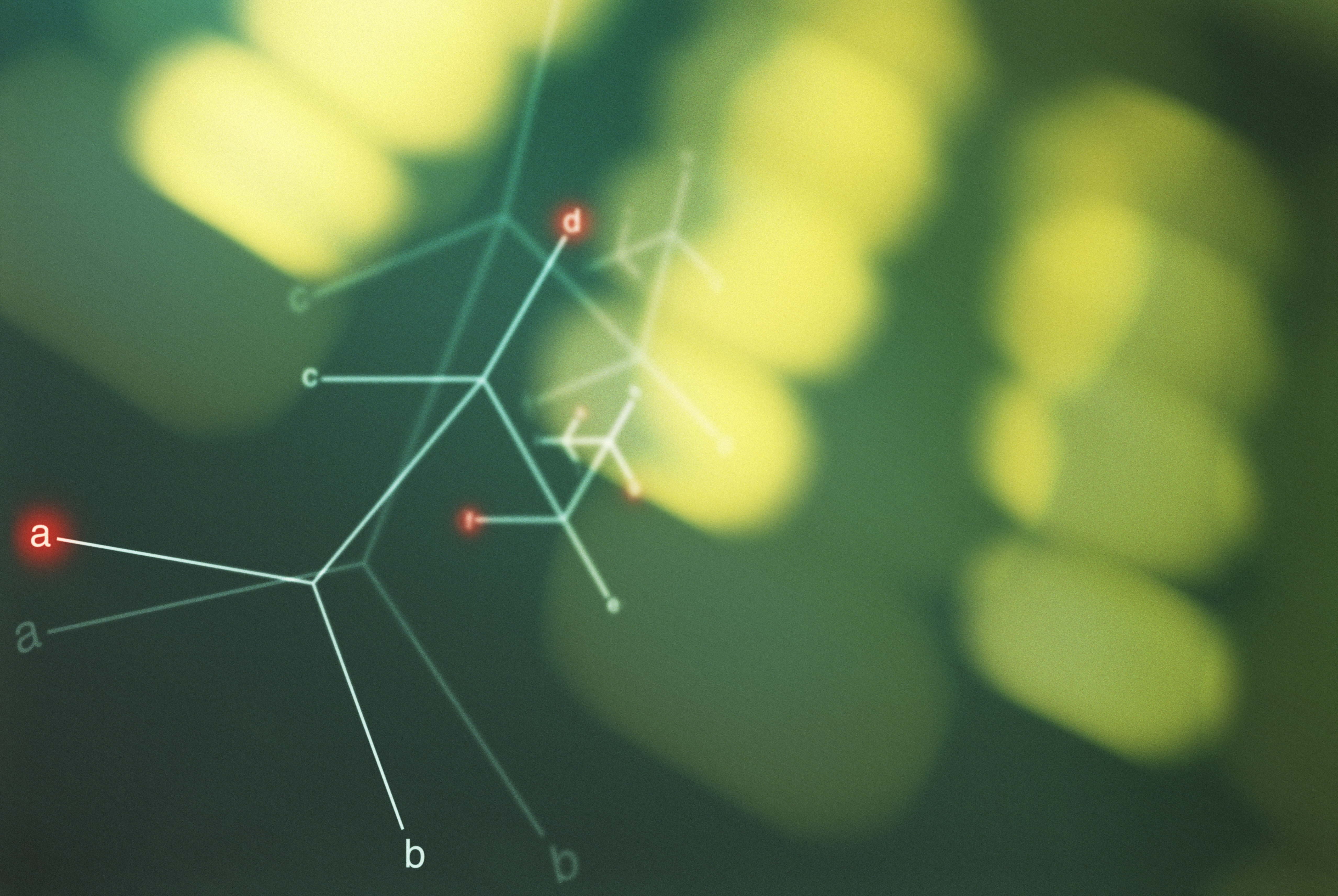 technology, pattern, science, molecules, selective focus, focus on foreground, fragility, day, beauty in nature, green Color, abstract, spider web, outdoors, HD Wallpaper