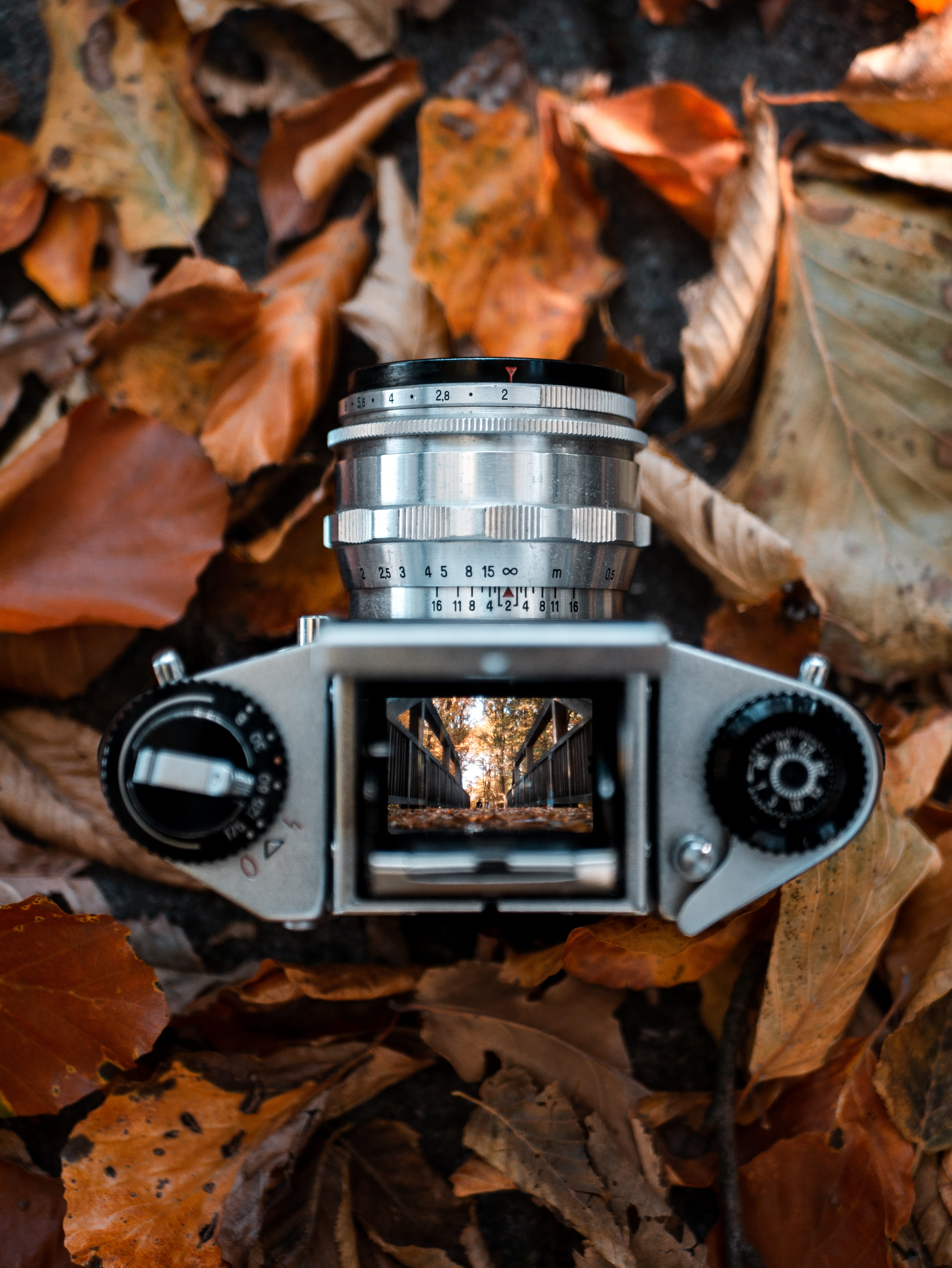 outdoors, nature, gray, dry, change, autumn, camera - photographic equipment, reflection, symmetry, digital camera, technology, plant part, photographic equipment, Phone HD Wallpaper