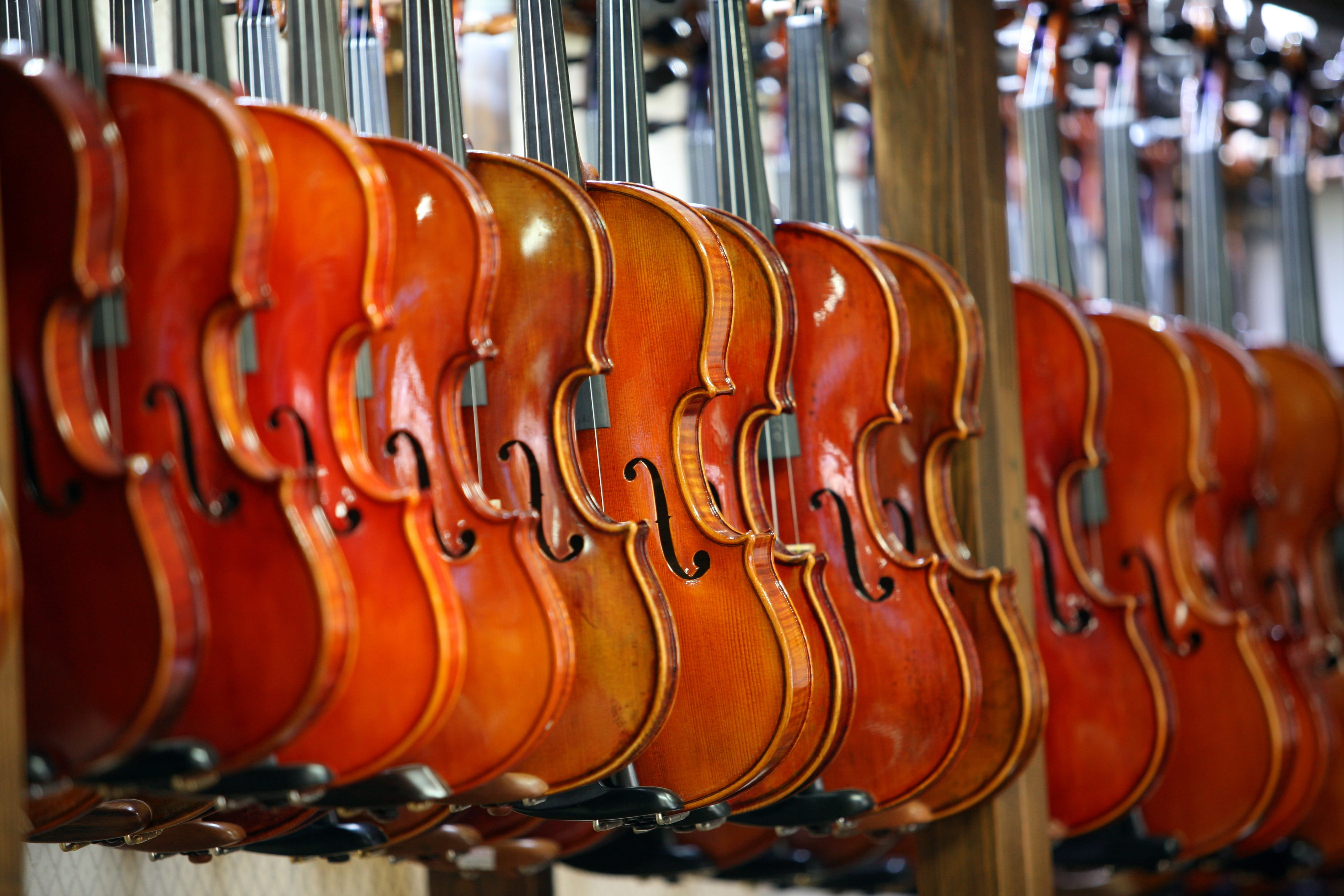 Instrument, musicians, order, played, photography, focus, string instrument, string, wood - material, 4K, classic, focus on foreground, brown, in a row, HD Wallpaper