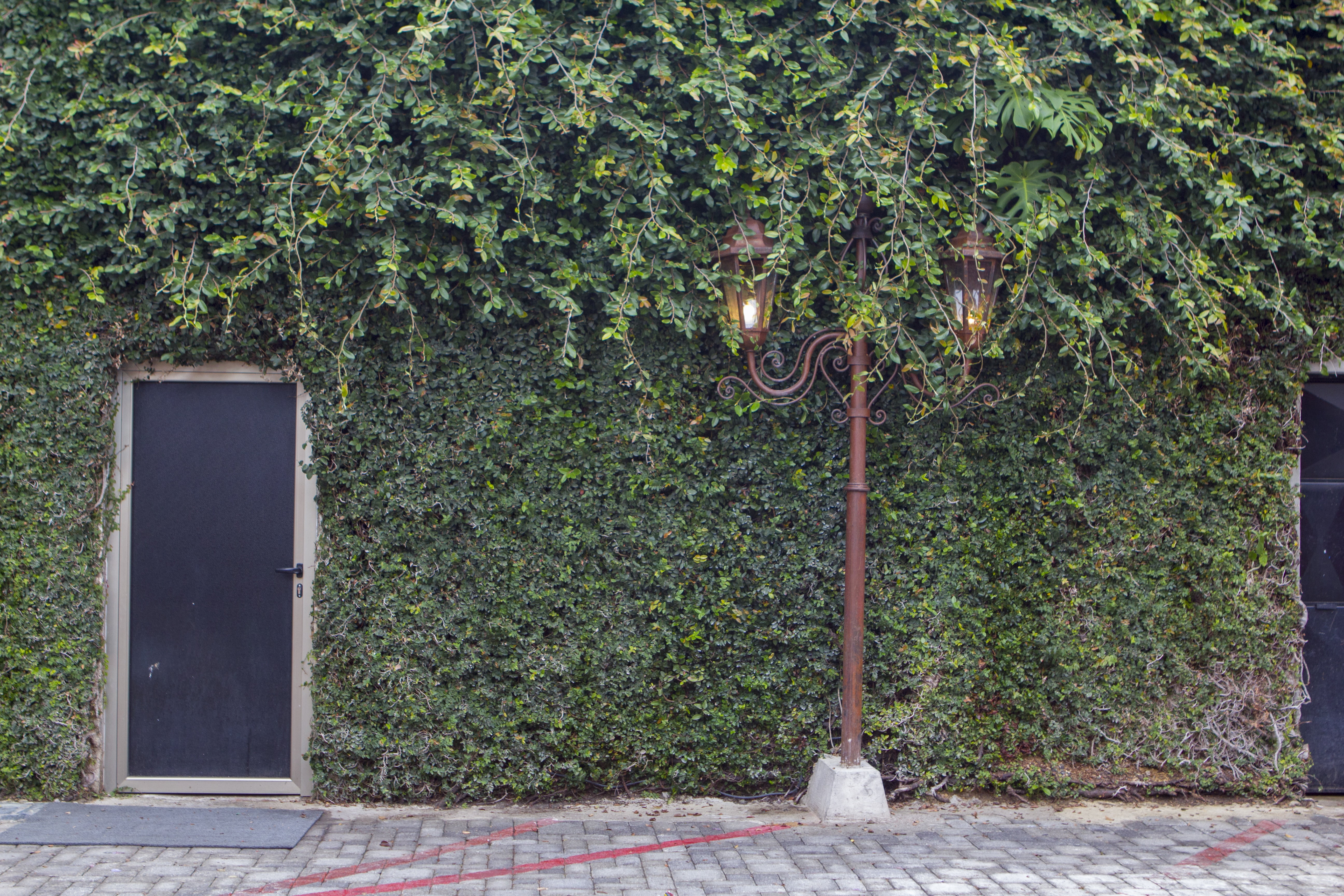 metal, brown, footpath, closed, beside, lighting equipment, lighting, day, light, built structure, plant, outdoors, wall, building exterior, ivy, entrance, HD Wallpaper