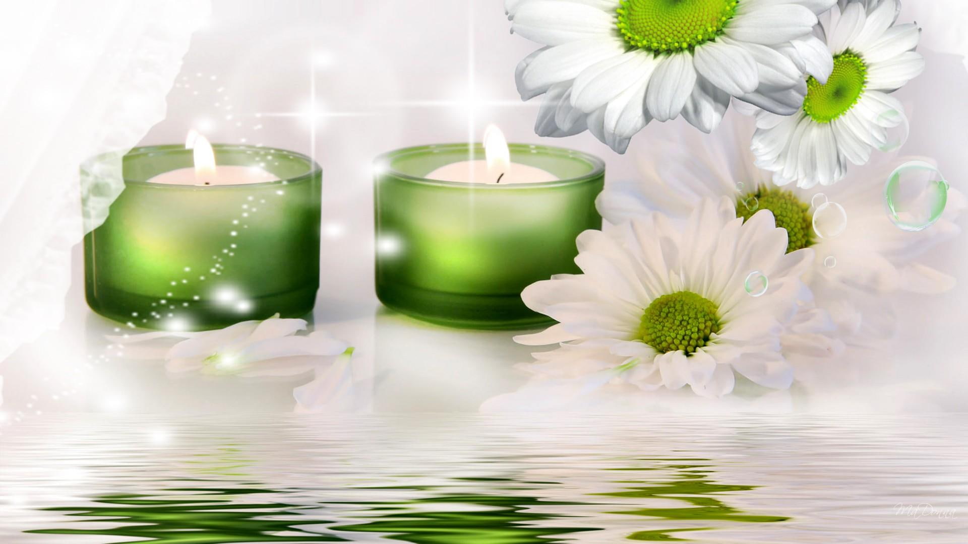 t, glow, green, cle, firefox persona, daisies, water, 1080P, stars, flowers, candle, reflection, light, bubbles, fire, HD Wallpaper