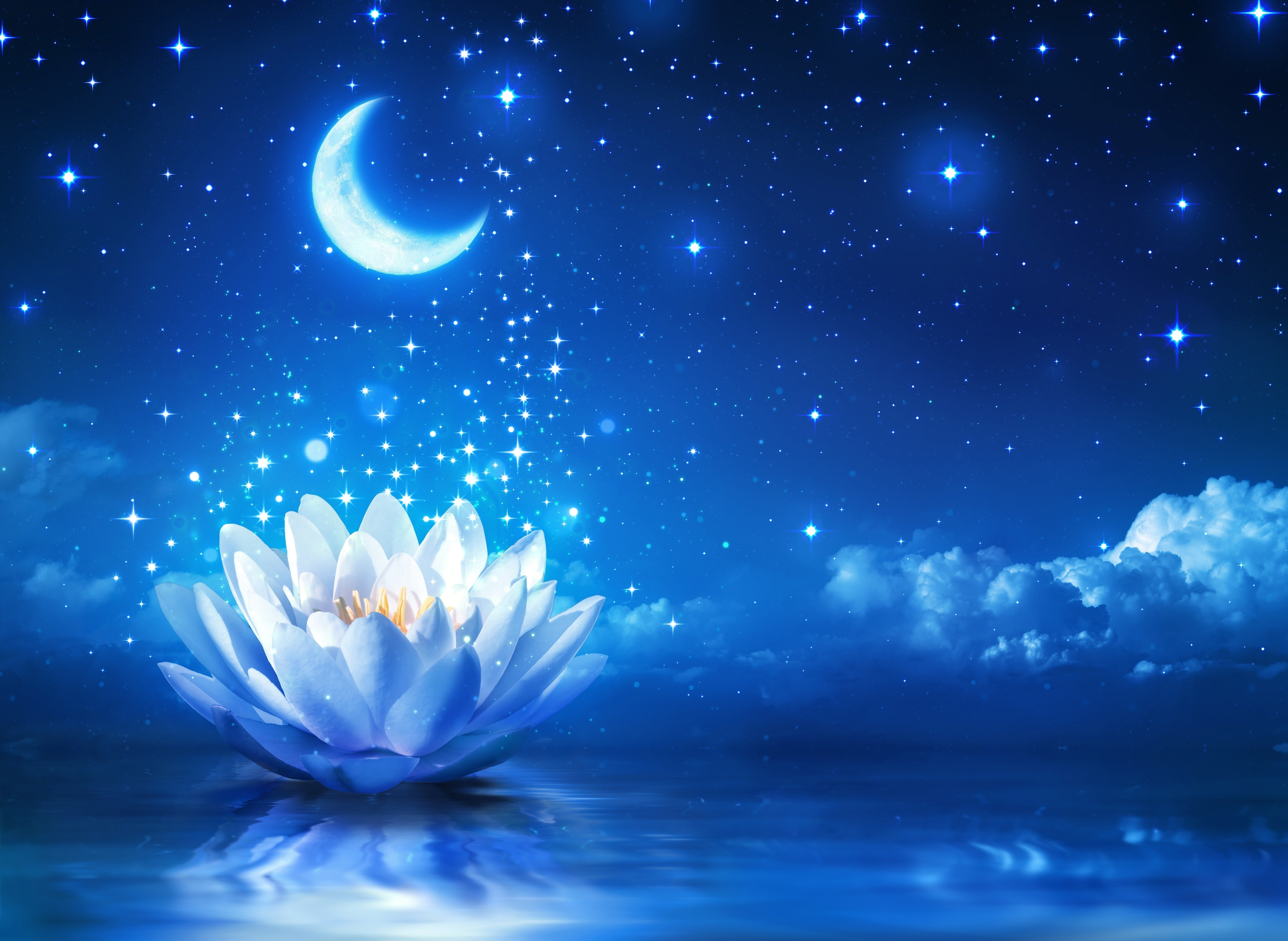 night, artwork, cloud - sky, moon, reflection, fragility, sky, full moon, flowering plant, no people, digital composite, astronomy, 5K, water lily, beauty in nature, HD Wallpaper