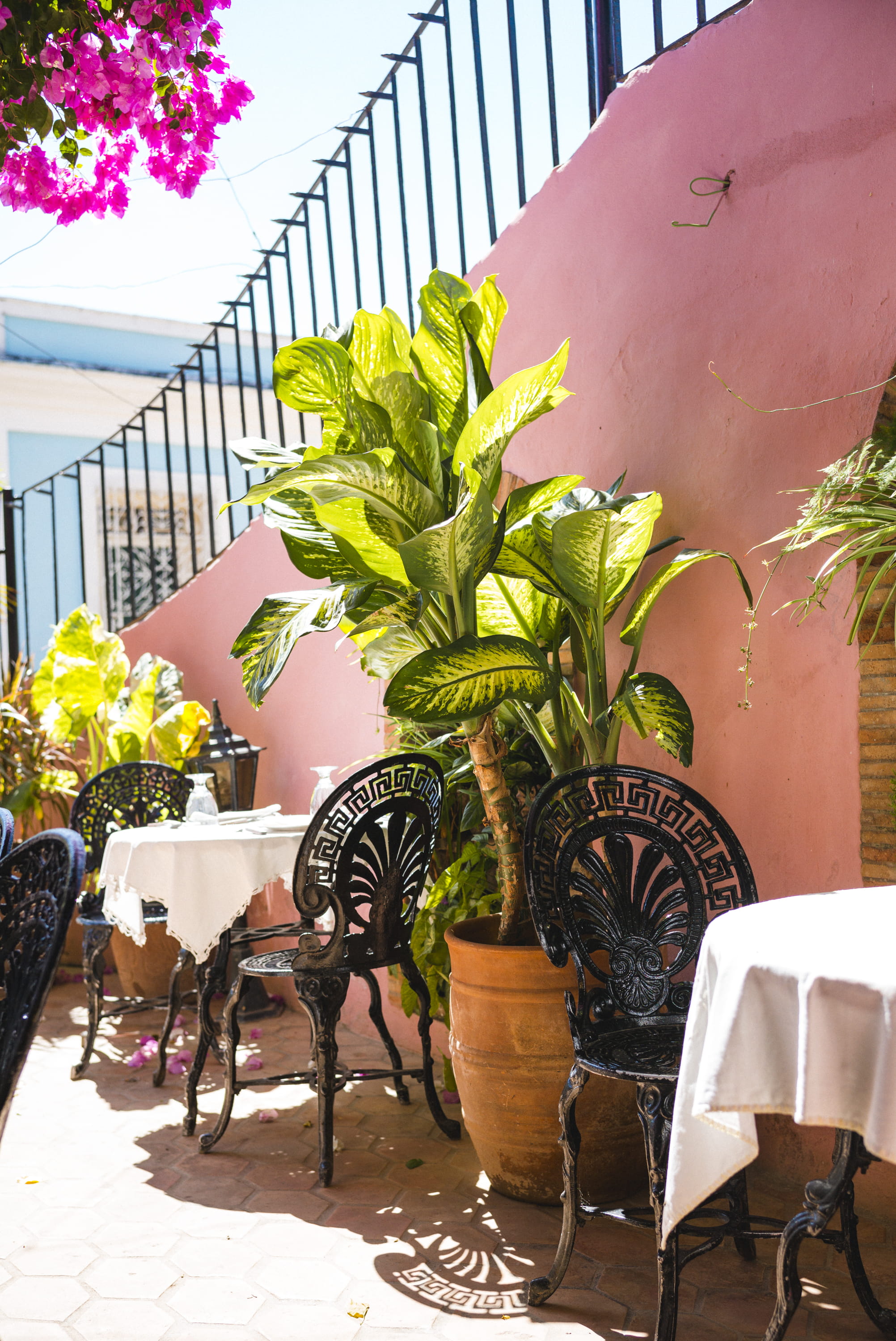sunlight, wood - material, flower pot, coffe shop, eat, cafe, lunch, leaf, table, trinidad, lovely, railing, 2K, plant, dinner, seat, romantic, architecture, Phone HD Wallpaper