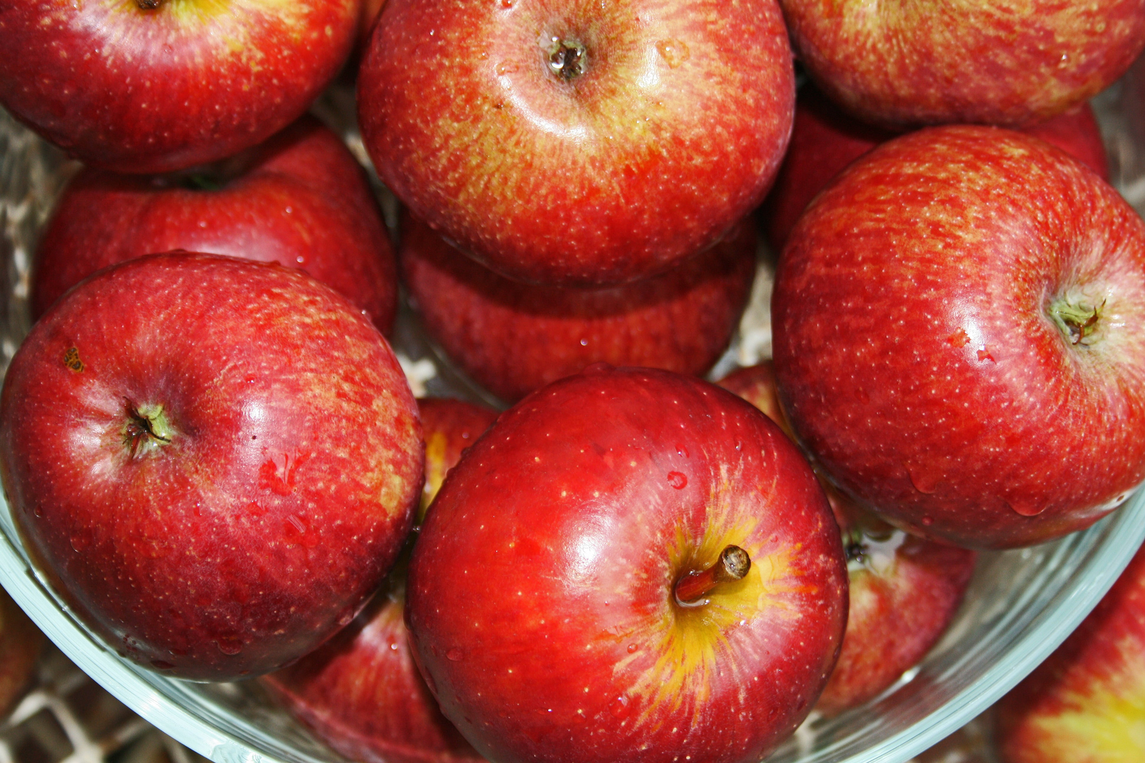close-up, still life, fruit, full frame, red, glass, bowl of apples, container, wellbeing, apple - fruit, indoors, group of objects, day, bowl, gray, food and drink, HD Wallpaper