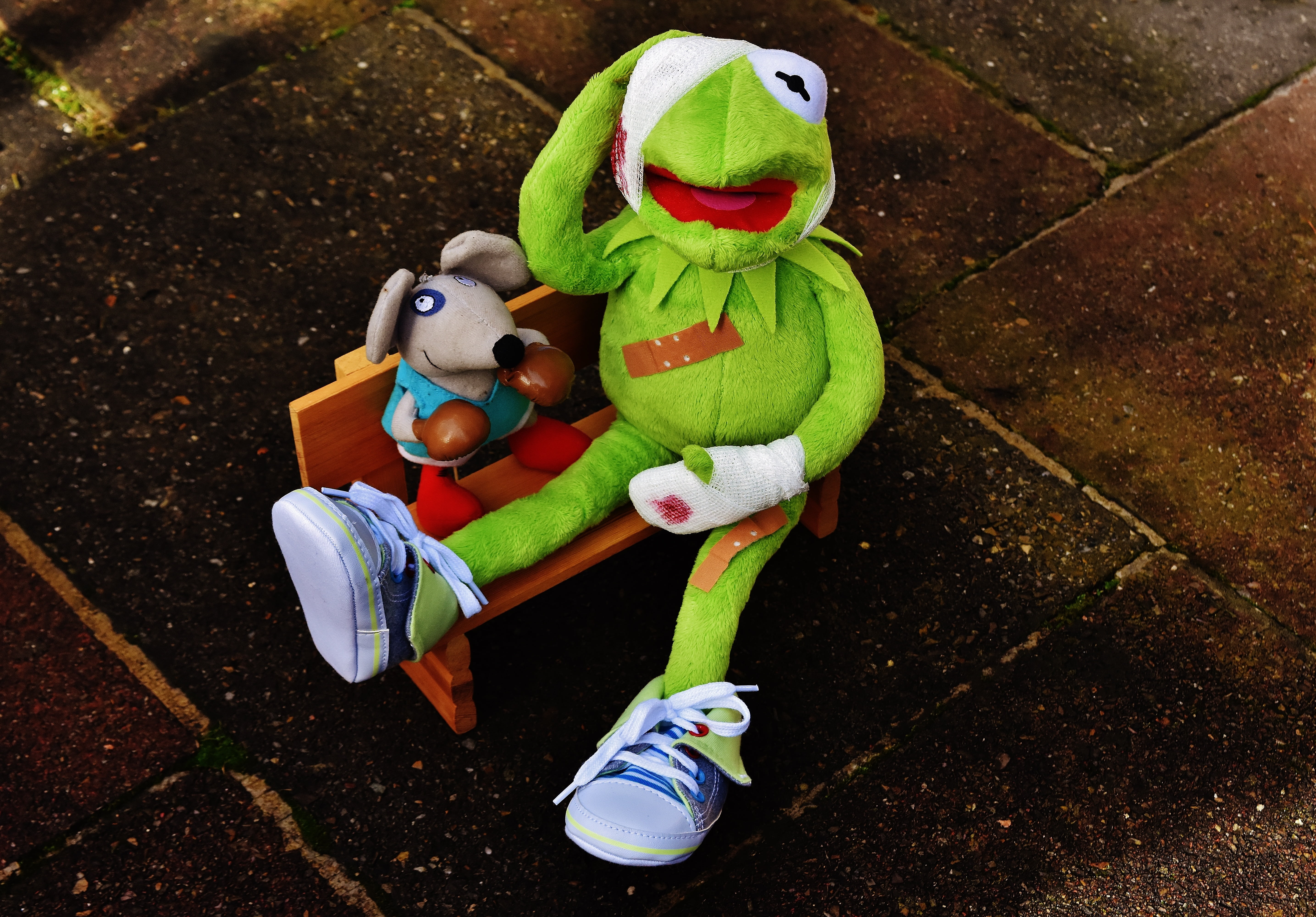 cute, association, patch, winter, toys, stuffed animal, winner lose, stuffed toy, nature, 5K, high angle view, figure, day, plush, male likeness, representation, HD Wallpaper