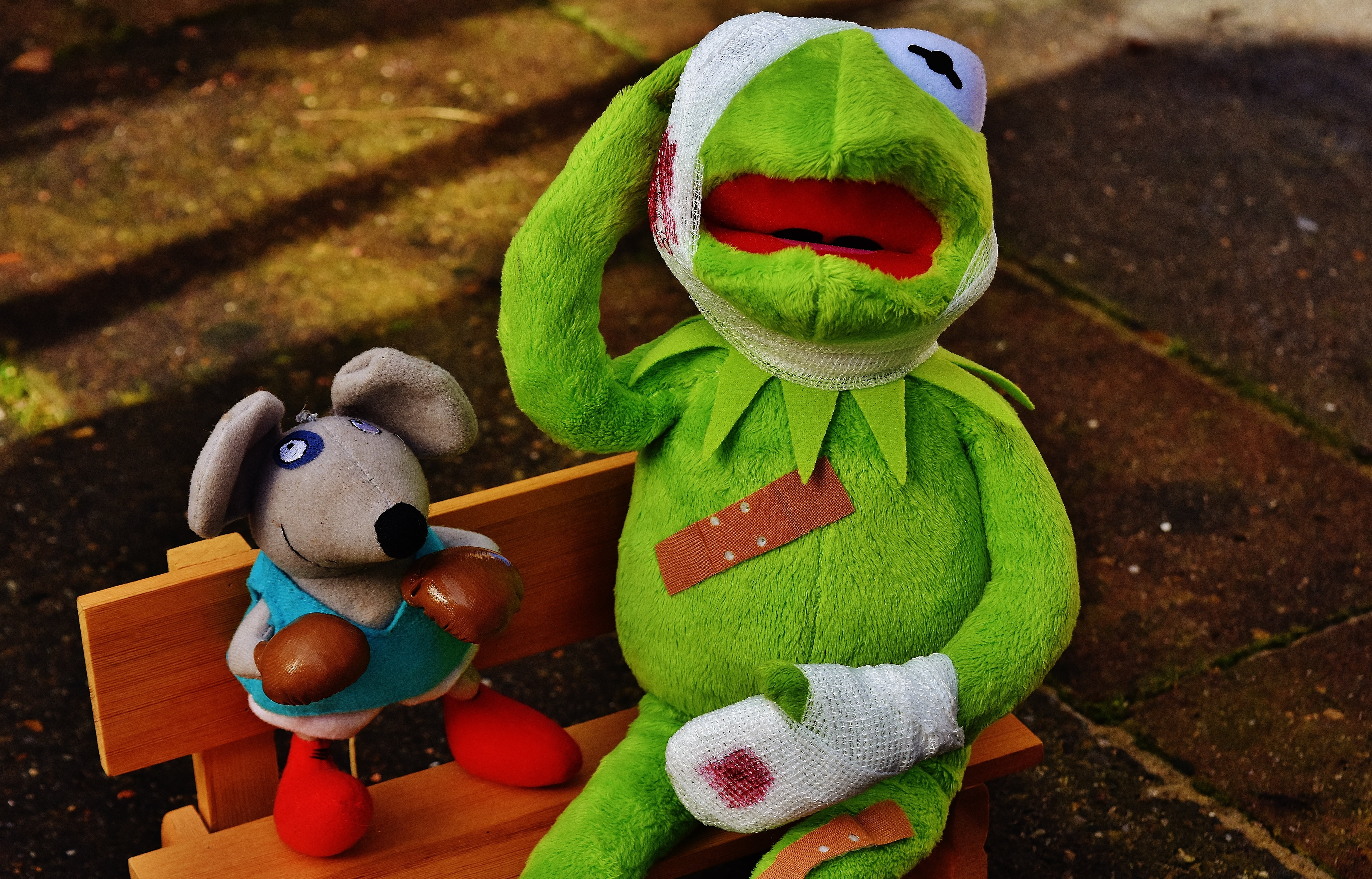 cute, mouse, figure, injured, christmas, toys, boxing match, no people, stuffed toy, table, celebration, kermit, plush, art and craft, cloth figure, creativity, HD Wallpaper