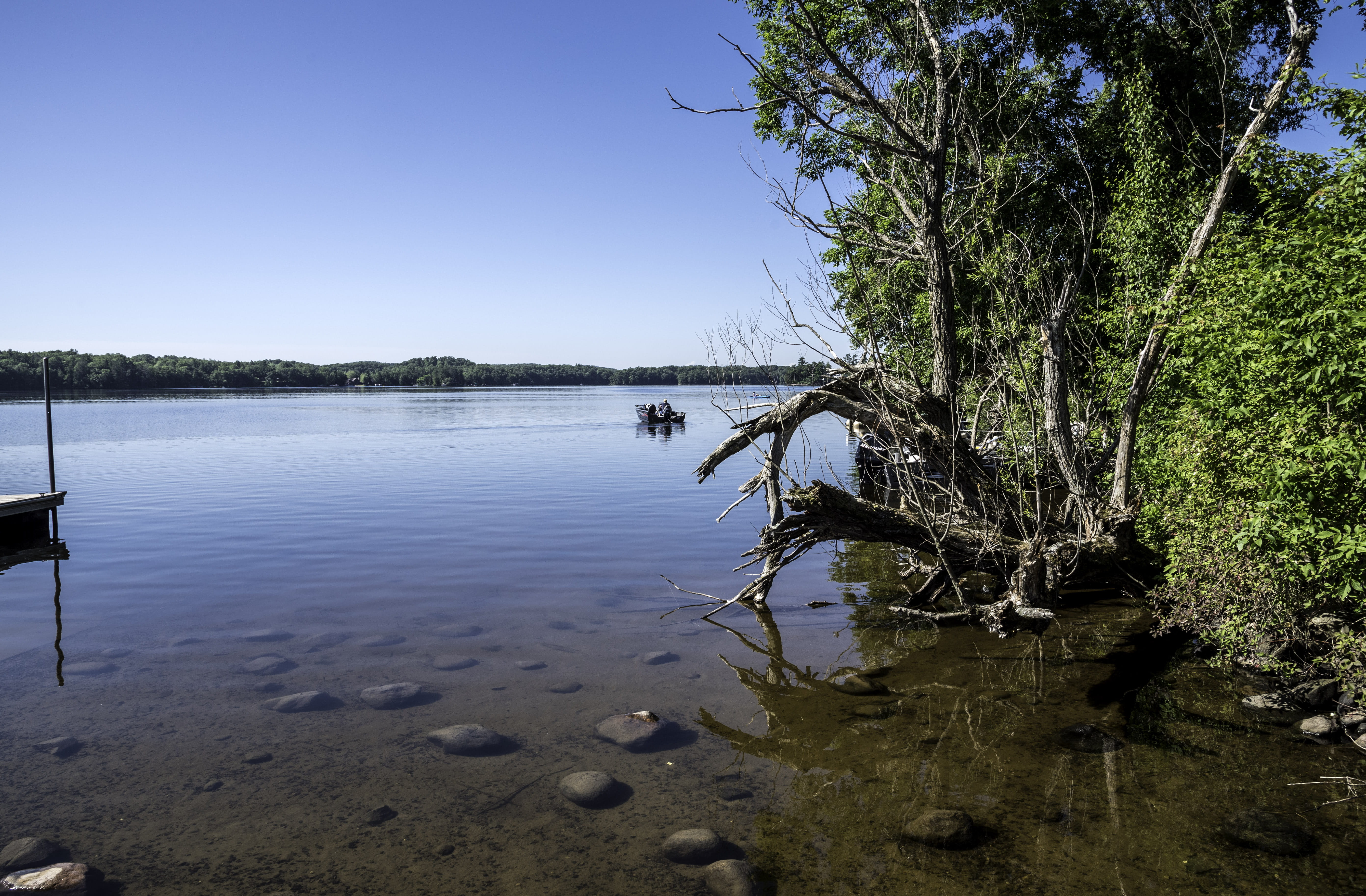 no people, plant, United States, public domain, photo, Shoreline, clear sky, Wisconsin, beach, scenics, river, 5K, growth, tranquility, swamp, tree, landscape, HD Wallpaper