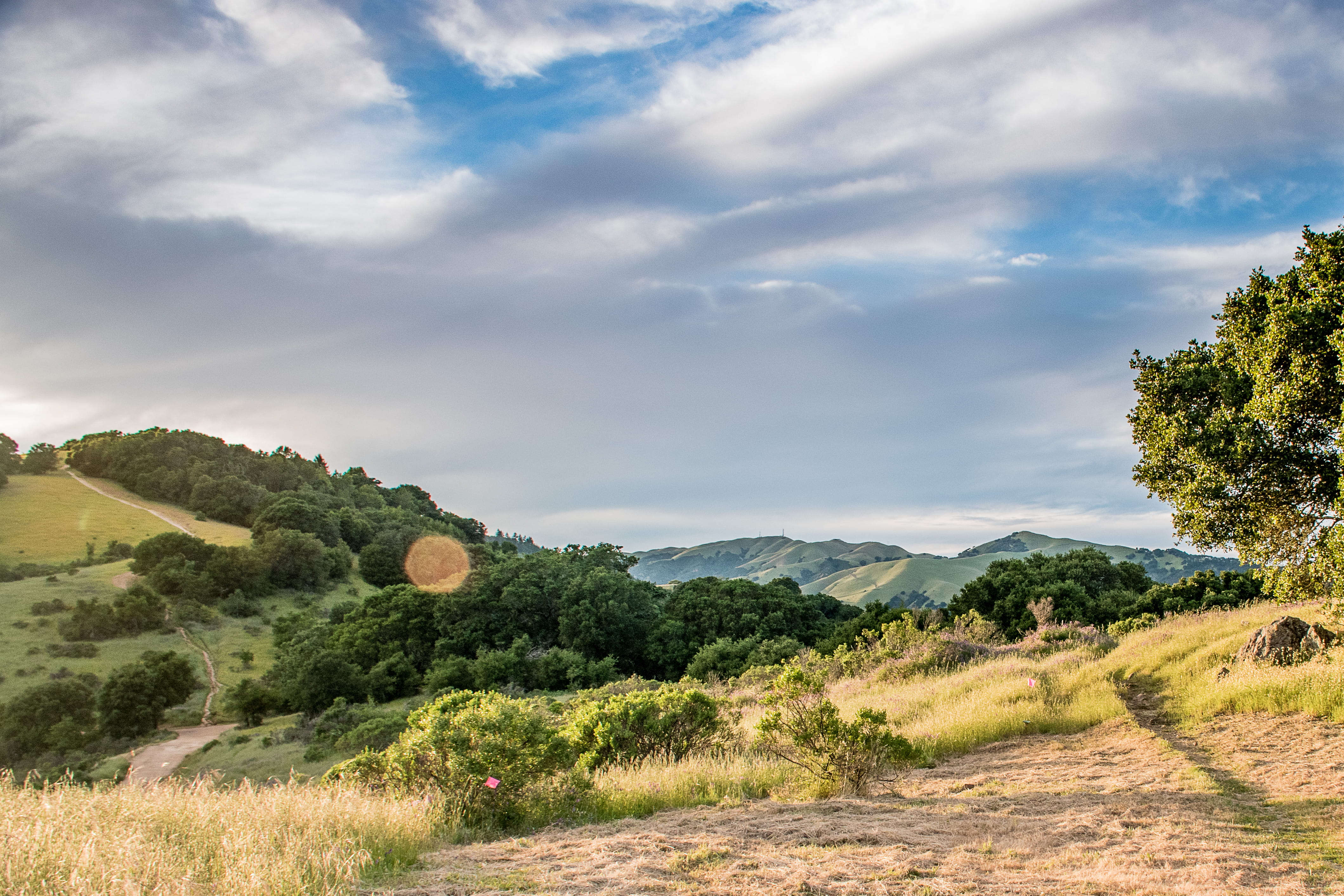 nature, green, path, gold, landscape, road, marin county, tranquility, sun flare, environment, scenics - nature, tranquil scene, california, sunset, field, HD Wallpaper