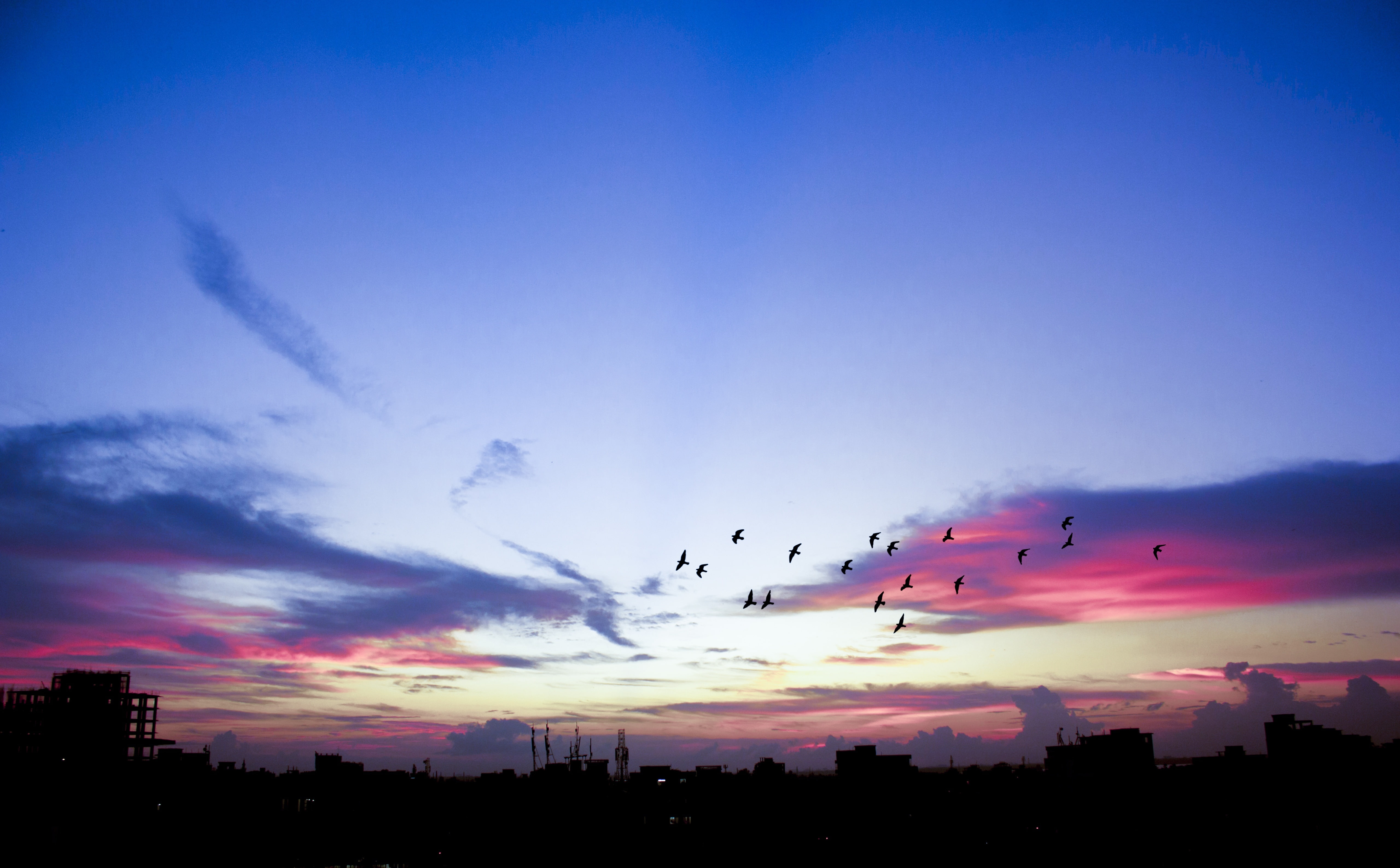birdssilhouette, sky, Nature, animal wildlife, animal, building exterior, cityscape, skyscraper, dhaka, Blue, animal themes, cloud - sky, architecture, HD Wallpaper