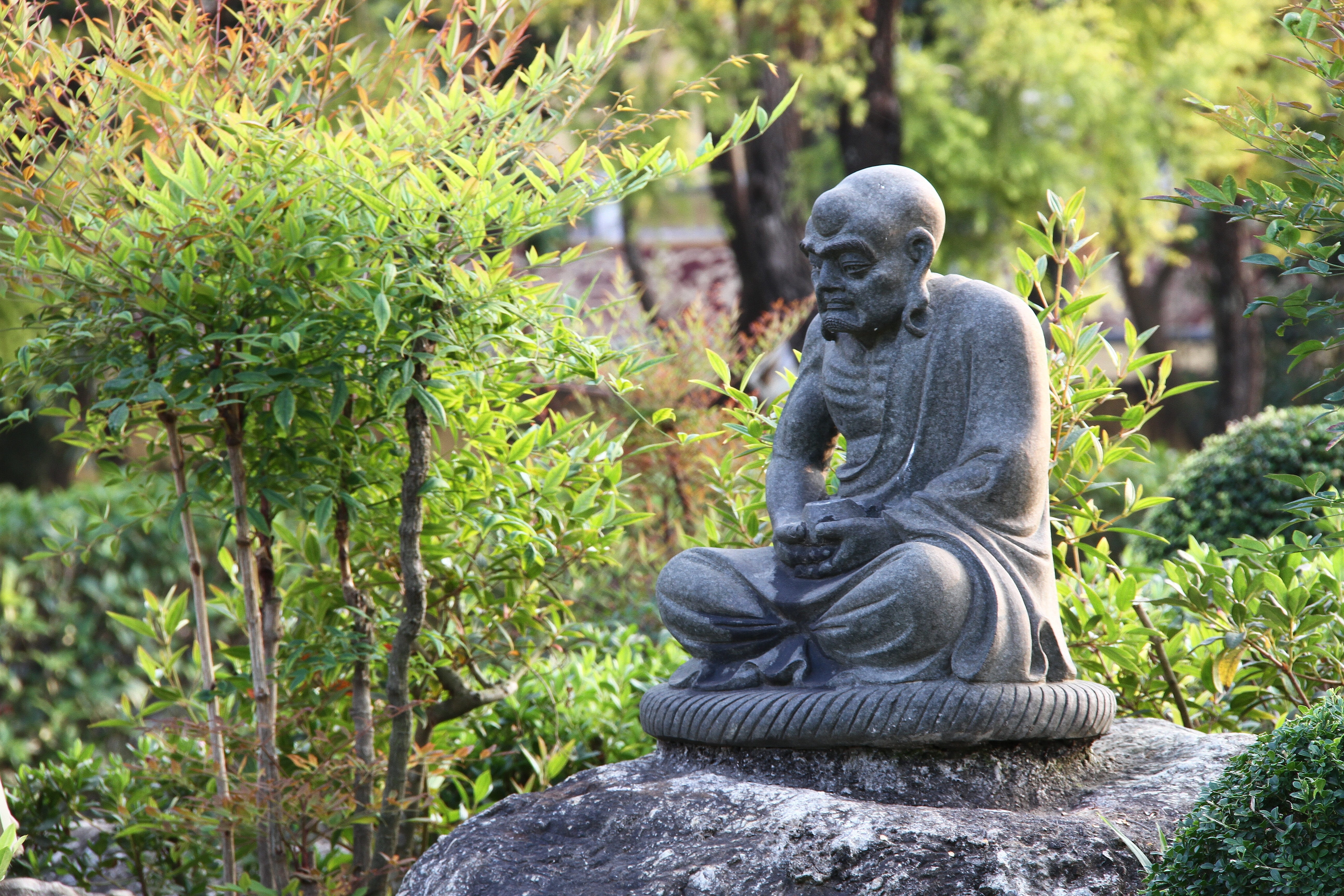 sitting, representation, day, sculpture, 5K, green, rome hàn, tree, outdoors, Rome, belief, nature, Statue, spirituality, Hàn, idol, religion, statue, HD Wallpaper