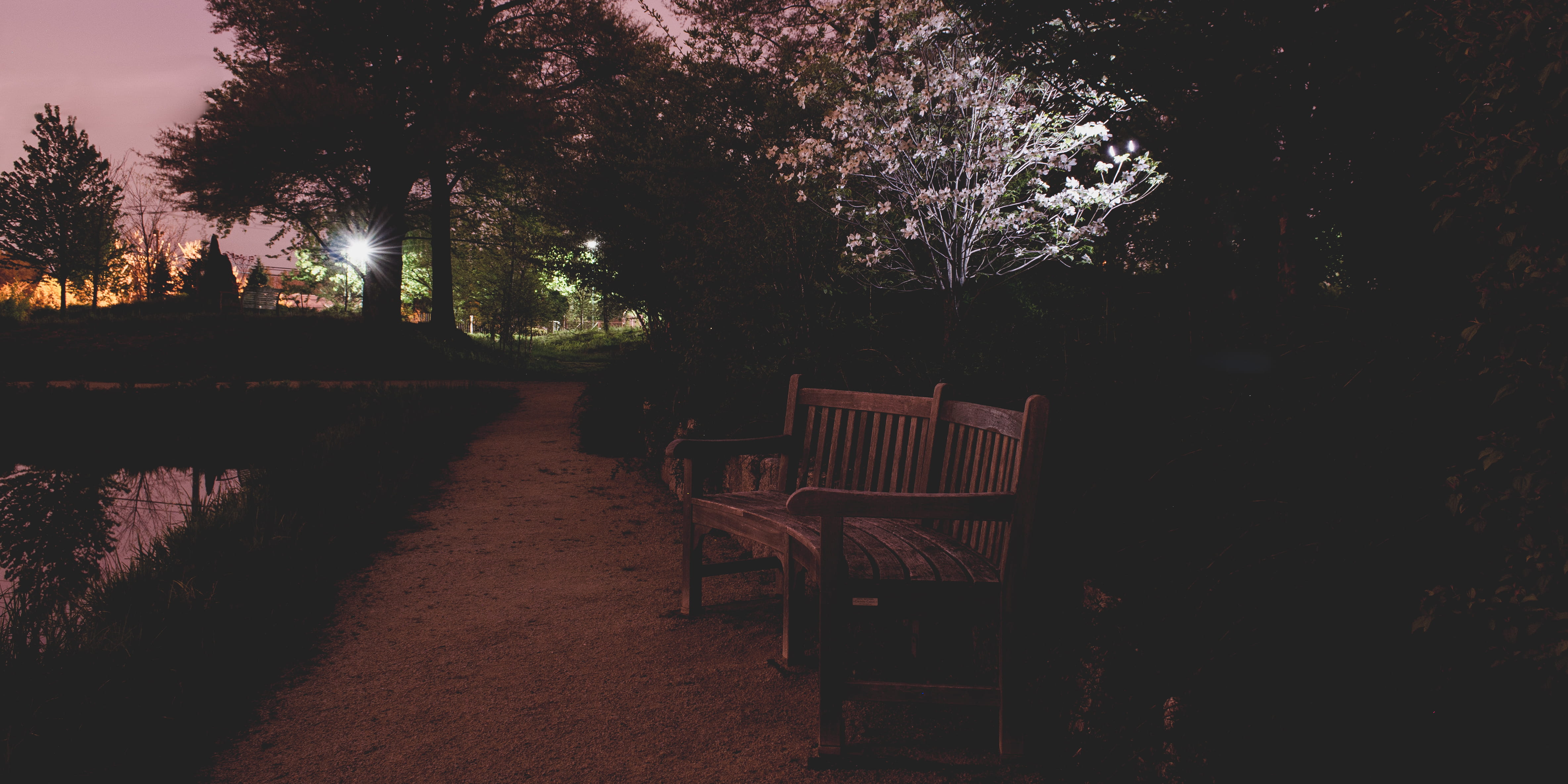 plant, empty, grounds for sculpture, tranquility, path, 4K, park - man made space, night, absence, dusk, footpath, bench, chair, tranquil scene, sky, park bench, HD Wallpaper