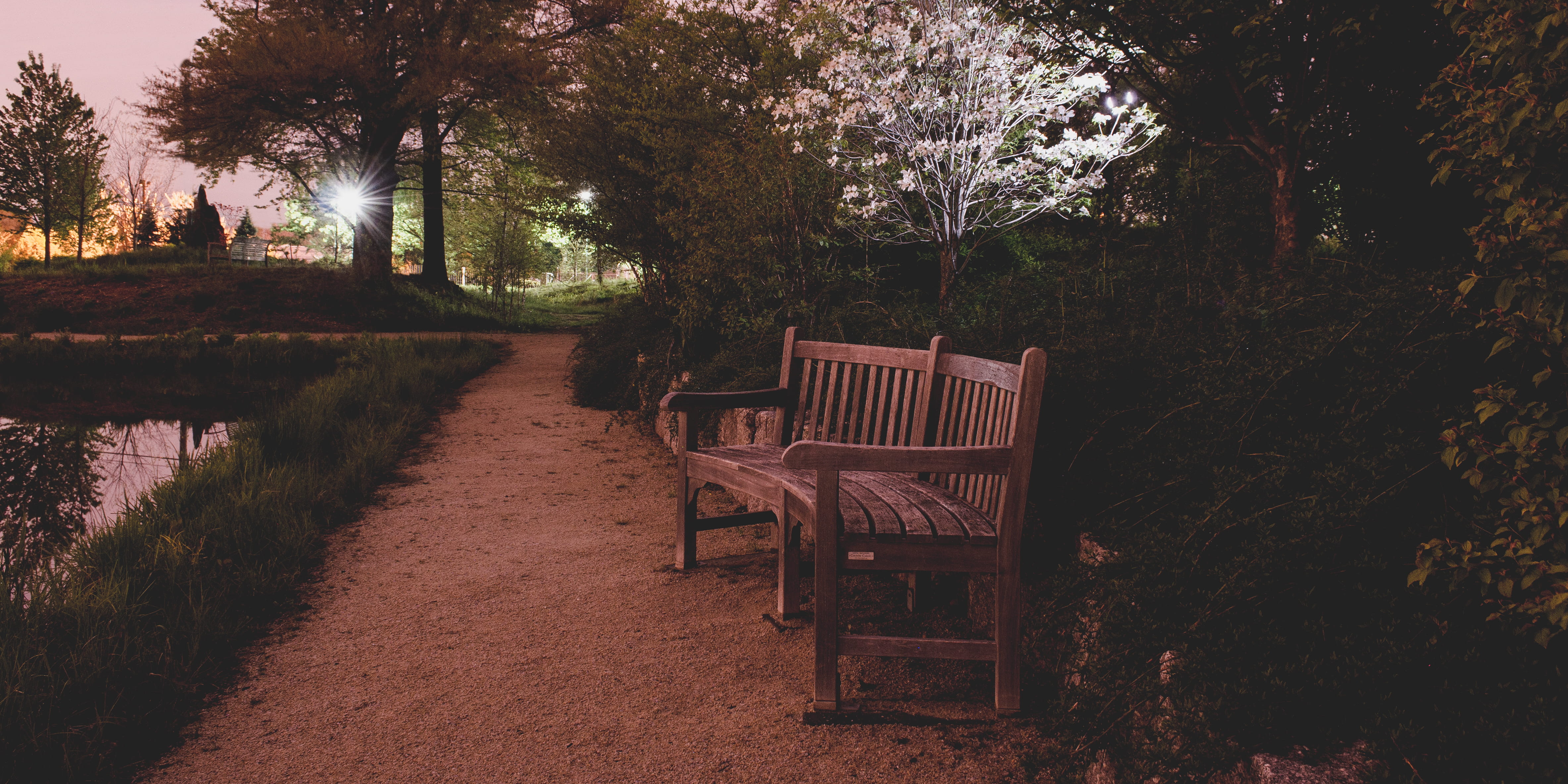 4K, darkness, tranquility, hamilton township, chair, night sky, night, tree trunk, beauty in nature, table, path, absence, park, empty, outdoors, park - man made space, HD Wallpaper