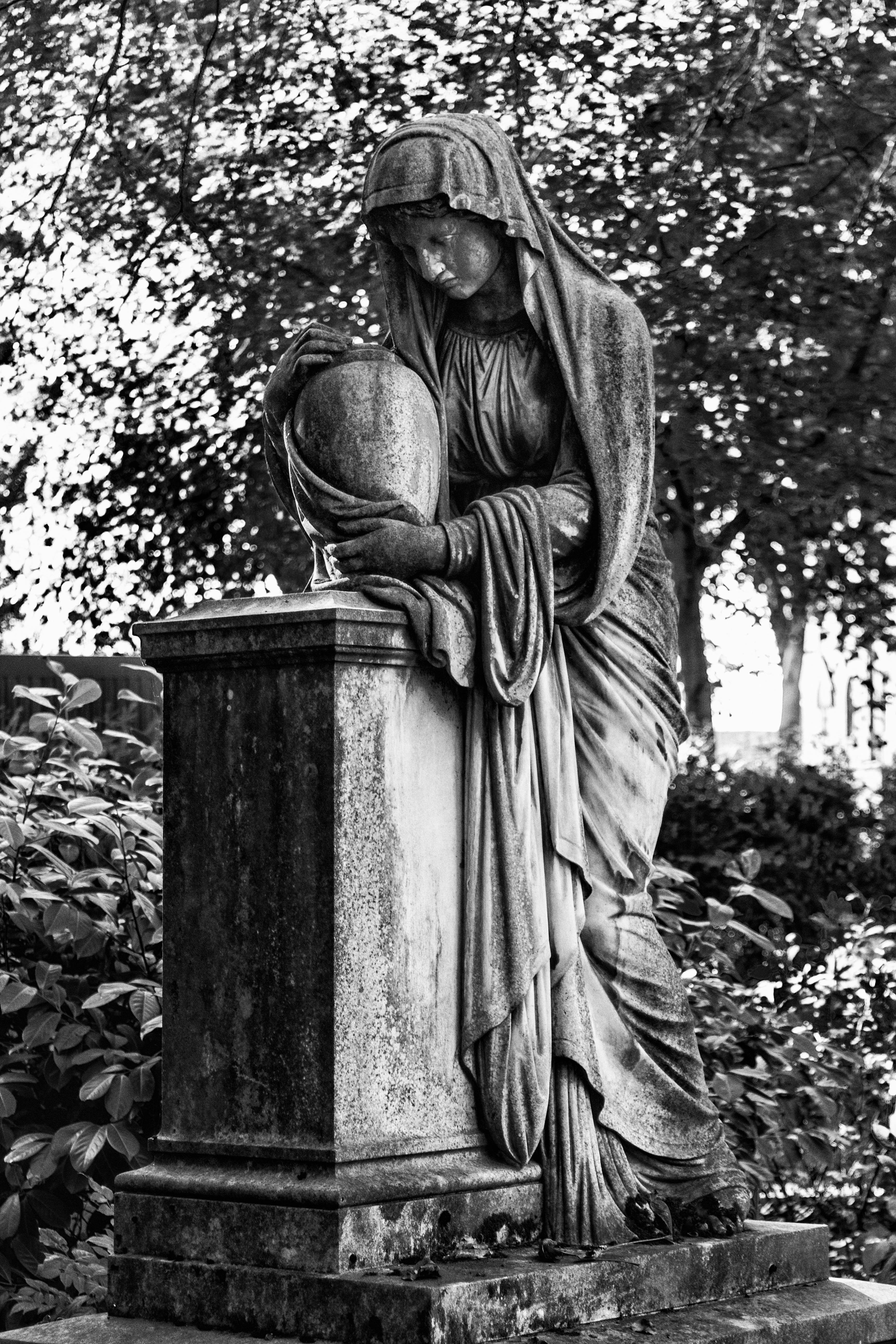 burial ground, old cemetery, representation, no people, memorial, religion, stone material, art and craft, nature, cemetery, bonn, human representation, Phone HD Wallpaper