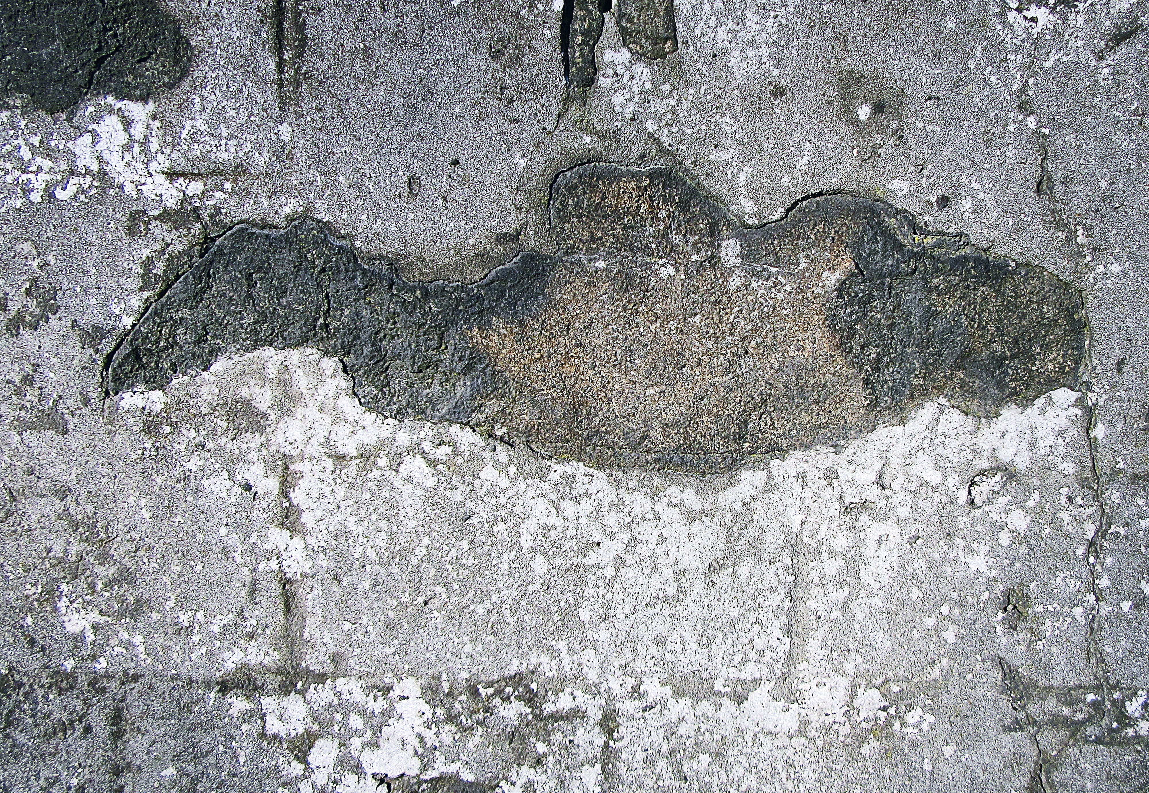 nature, solid, heart shape, rough, stain, wall, backgrounds, old, concrete, pattern, full frame, day, soil, invertebrate, 4K, flagstone, tree, high angle view, HD Wallpaper